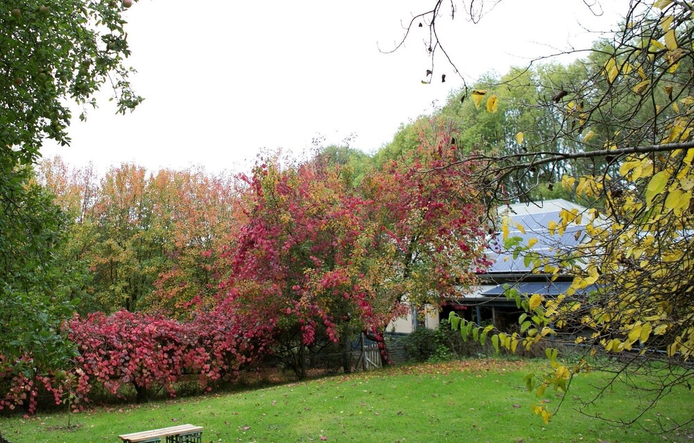 Summerhill Farm Bed & Breakfast