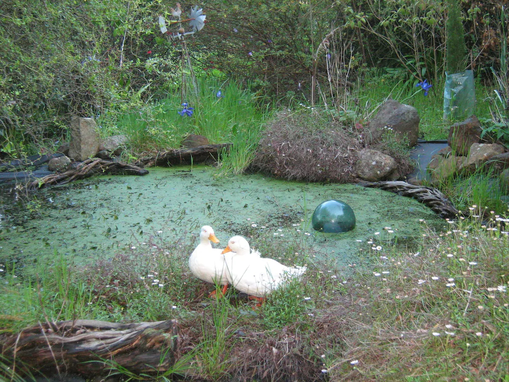 Summerhill Farm Bed & Breakfast