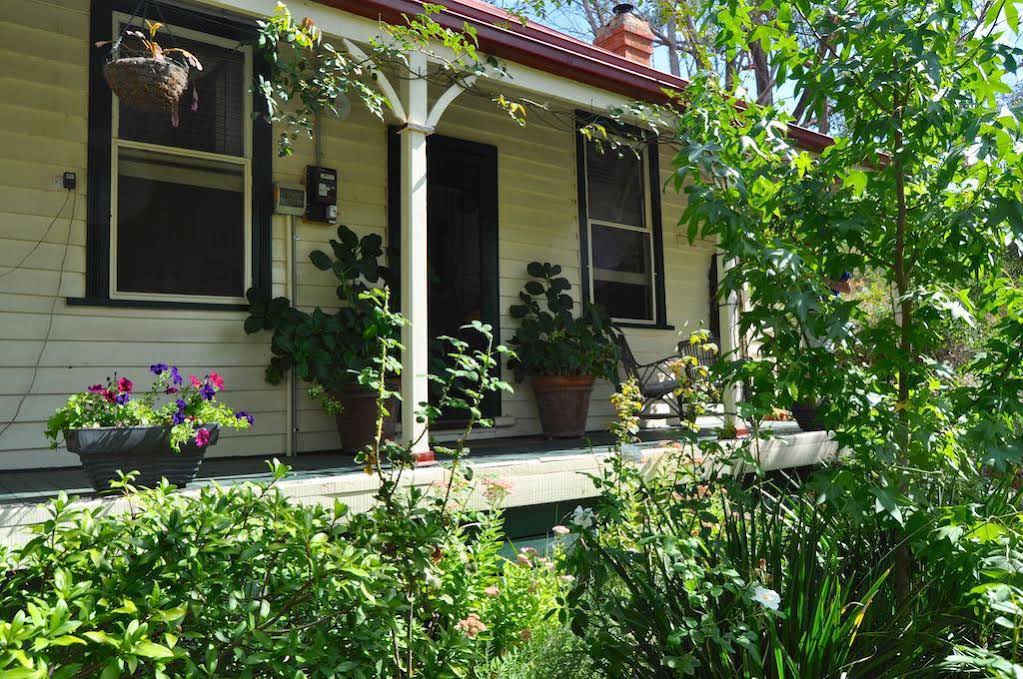 Sinnamons Cottage