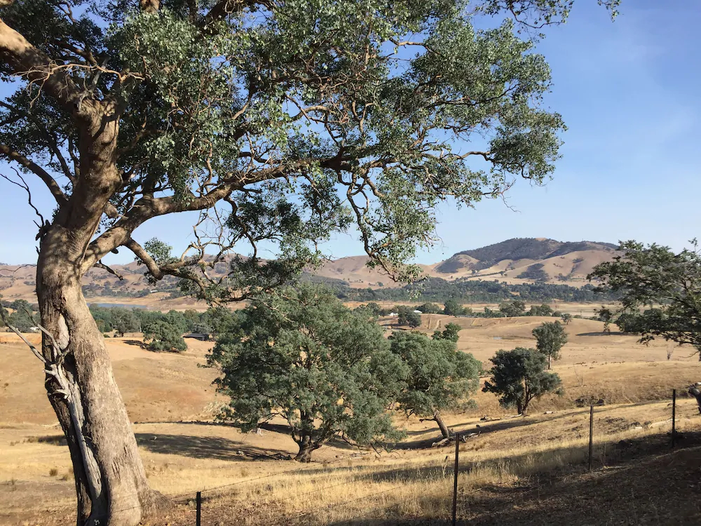 Burnt Creek Cottages Mansfield