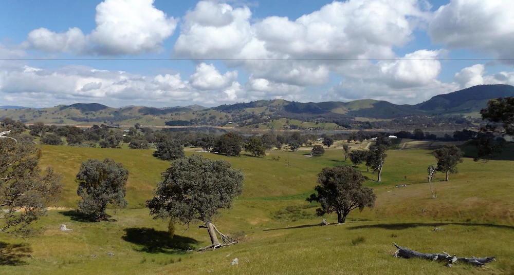 Burnt Creek Cottages Mansfield