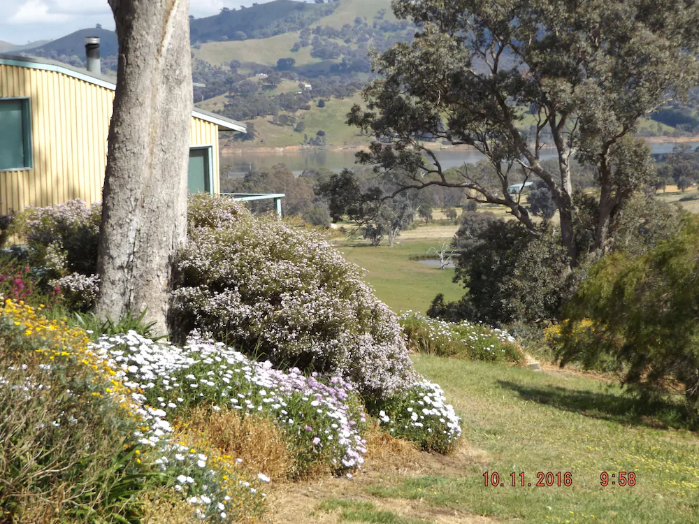 Burnt Creek Cottages Mansfield