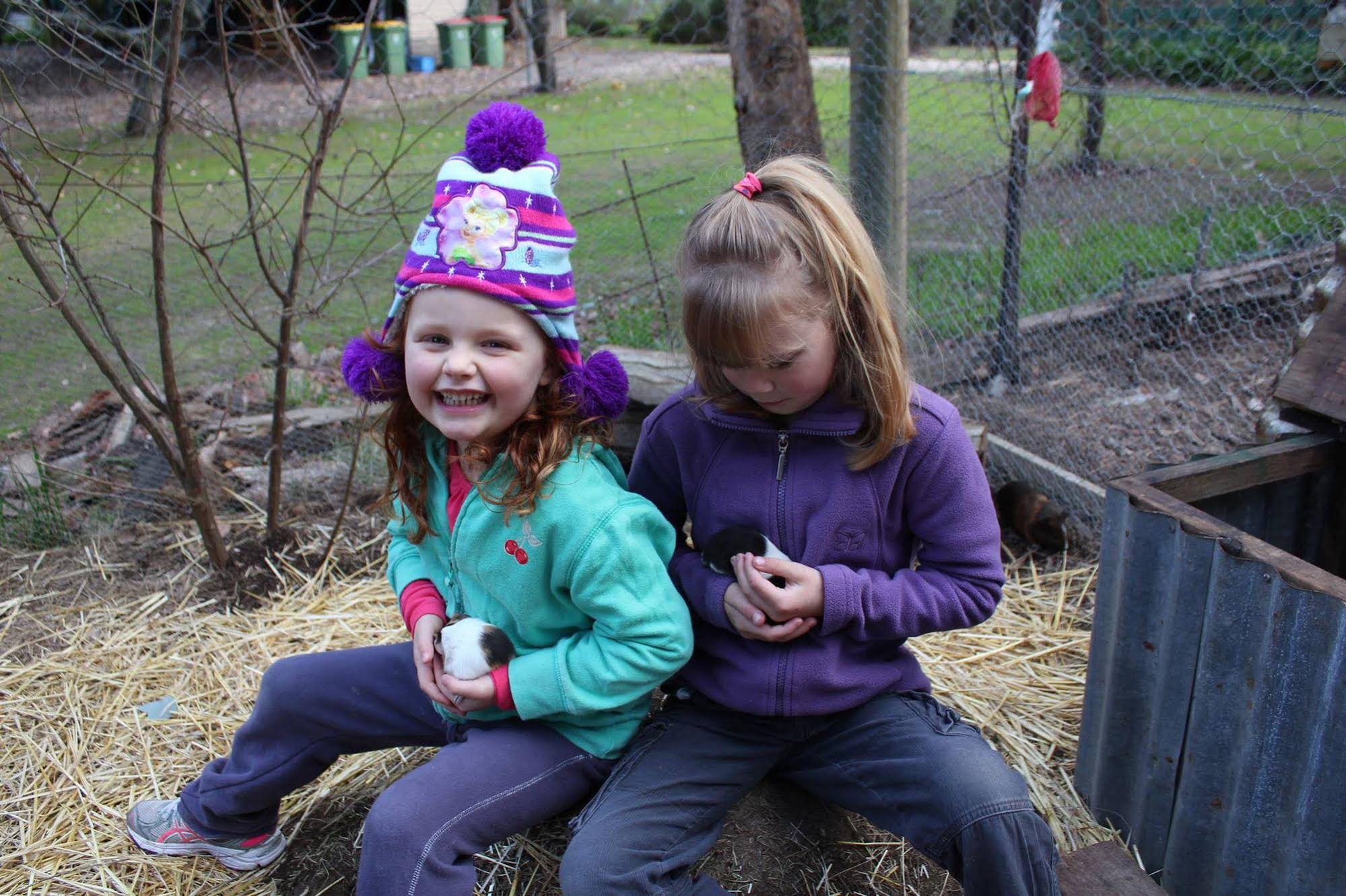 Fernleigh Farmstay & Bike Park