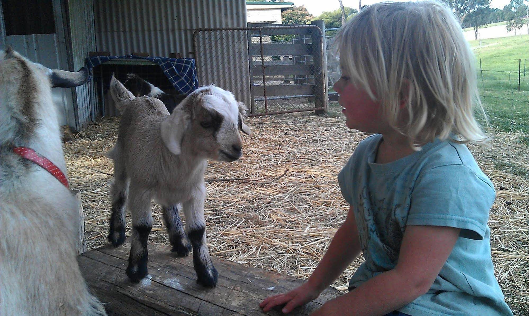 Fernleigh Farmstay & Bike Park