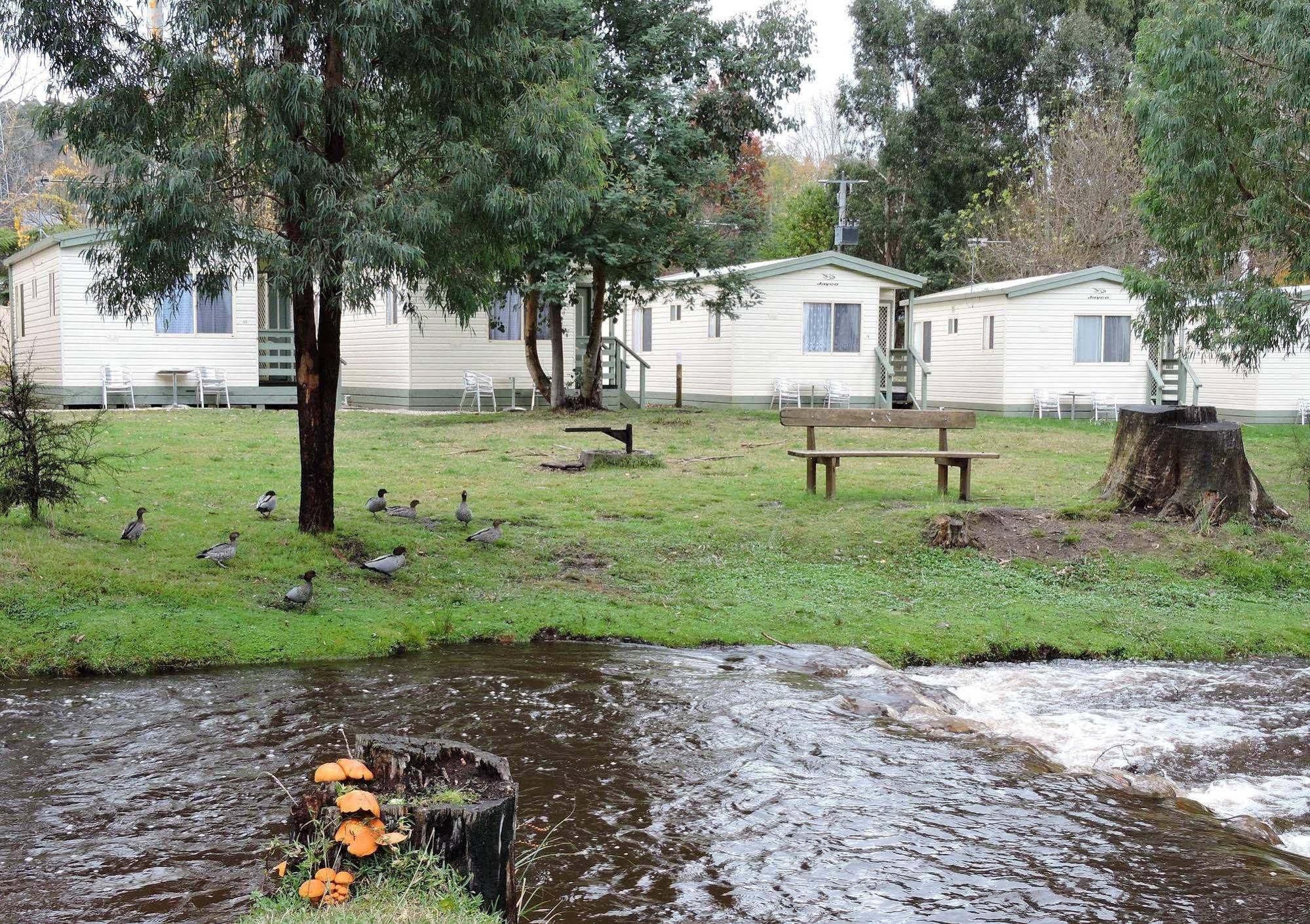 Marysville Caravan and Holiday Park