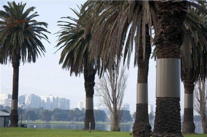 Albert Park Apartments