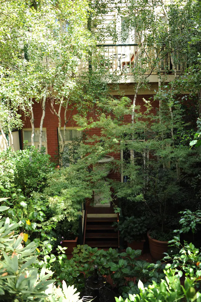 André's Mews