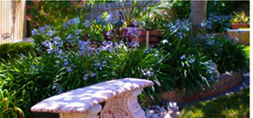 Austin Rise  Bed And Breakfast