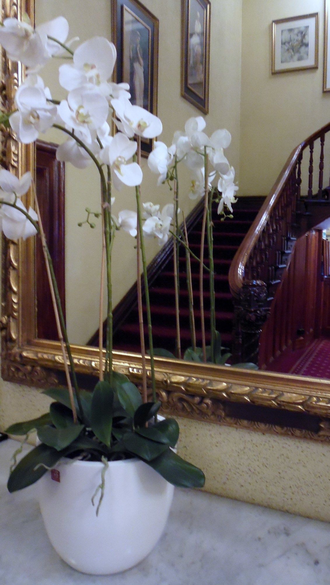 Claremont Guesthouse