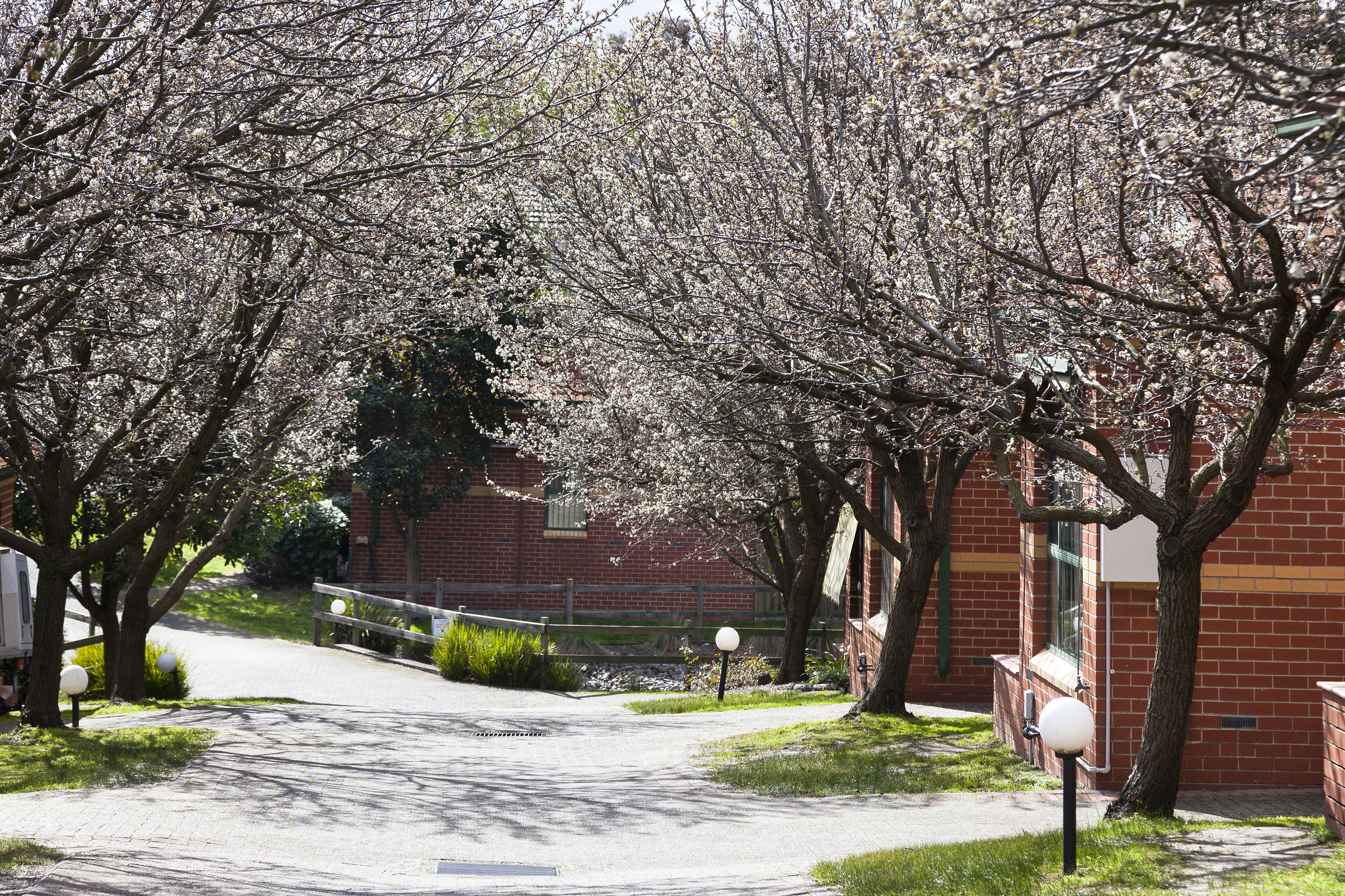 Mount Waverley Townhouses