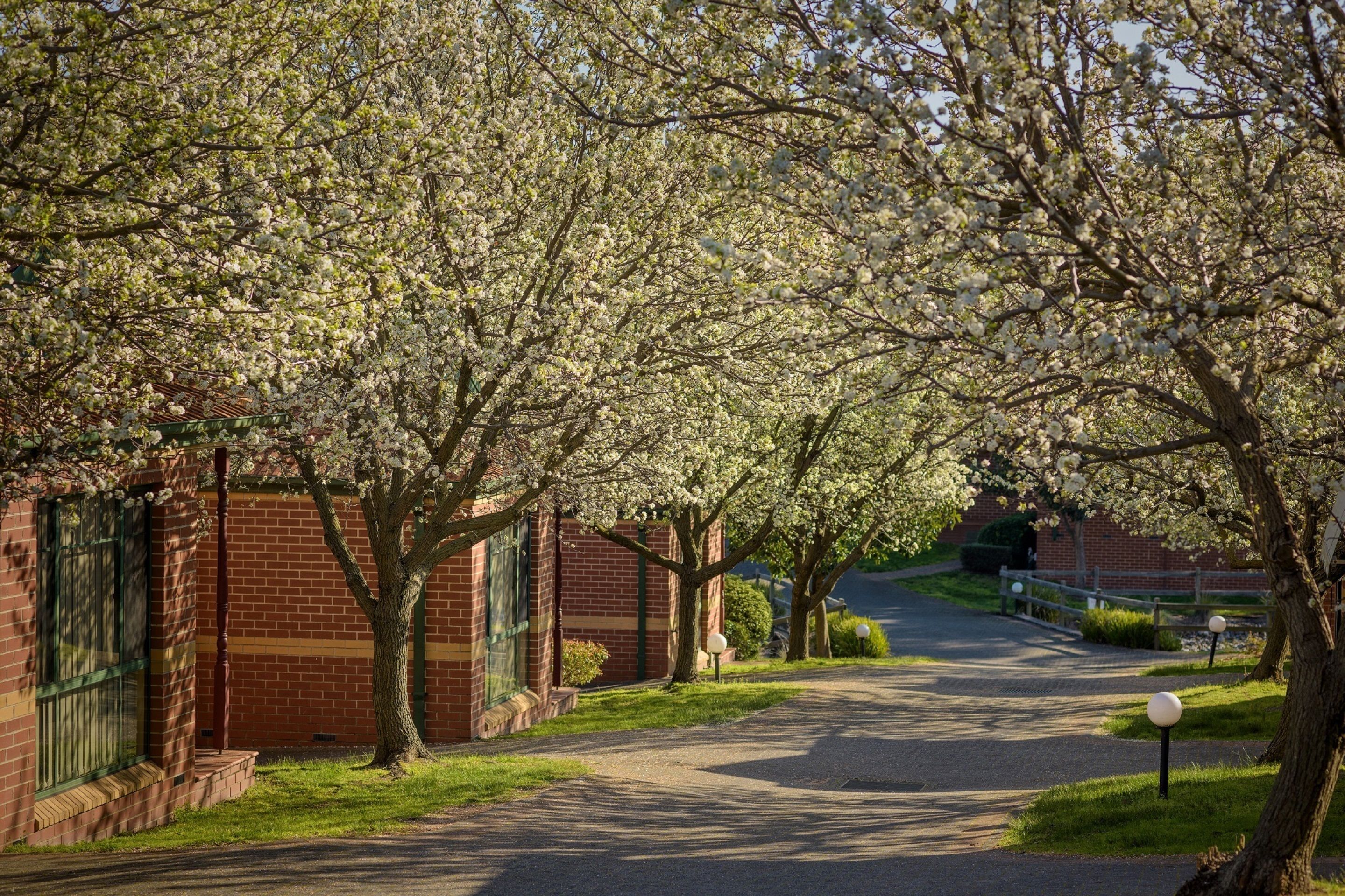 Mount Waverley Townhouses
