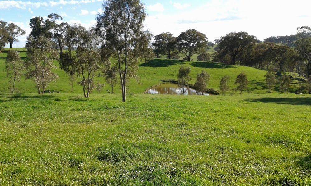 Kinross Metcalfe Farm