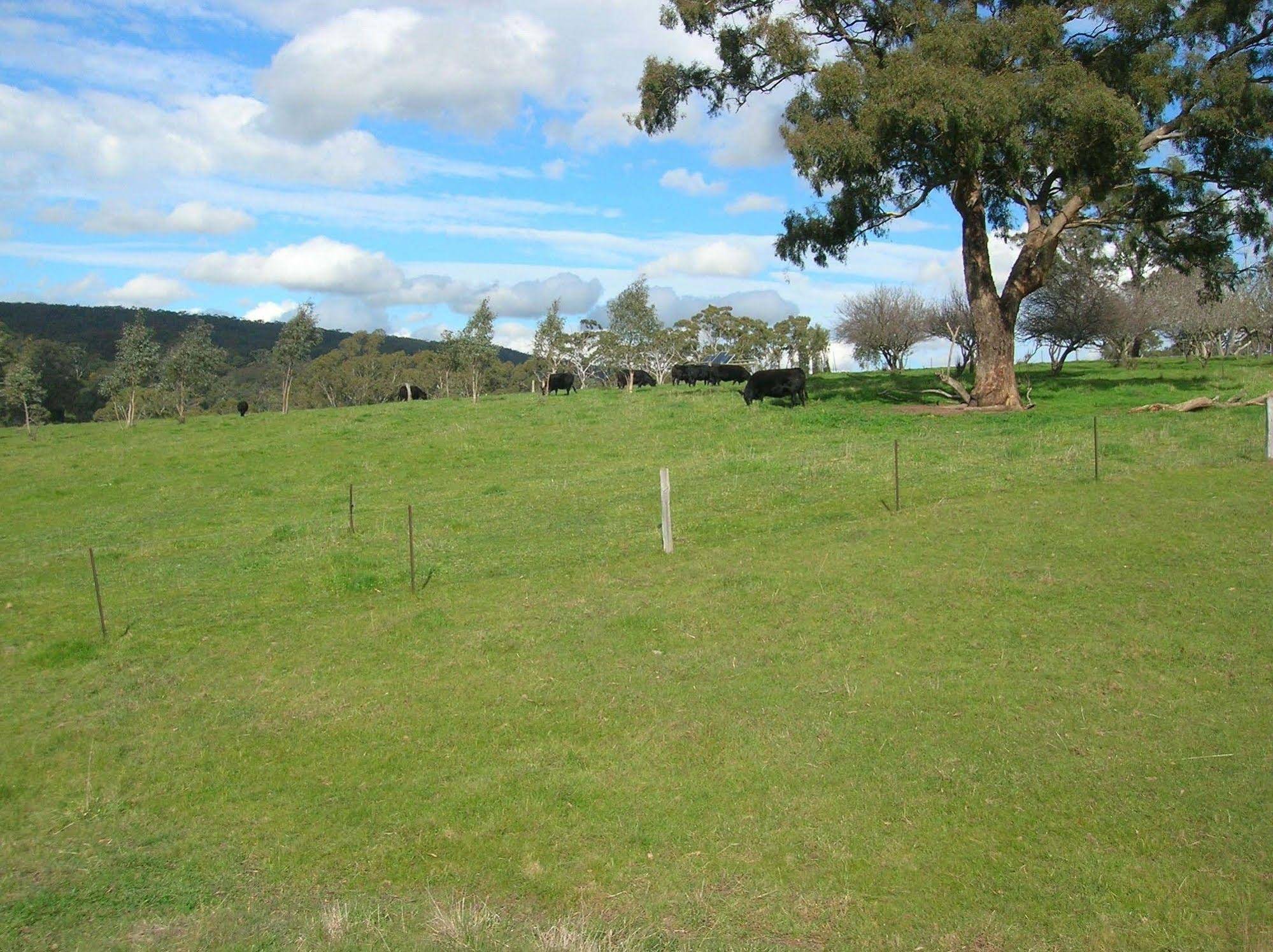 Kinross Metcalfe Farm