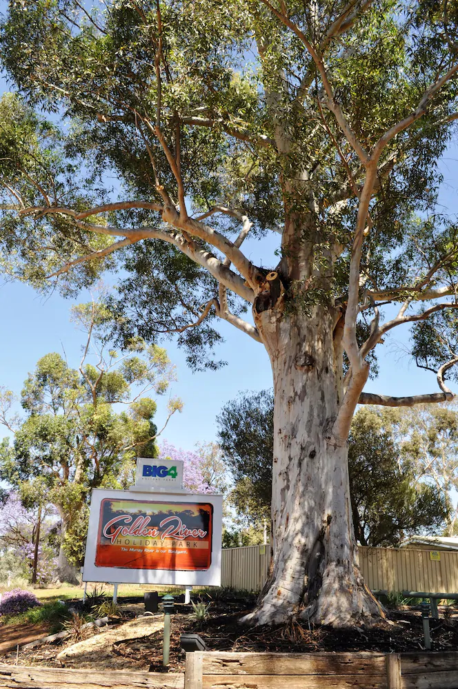 BIG4 NRMA Mildura Riverside Holiday Park