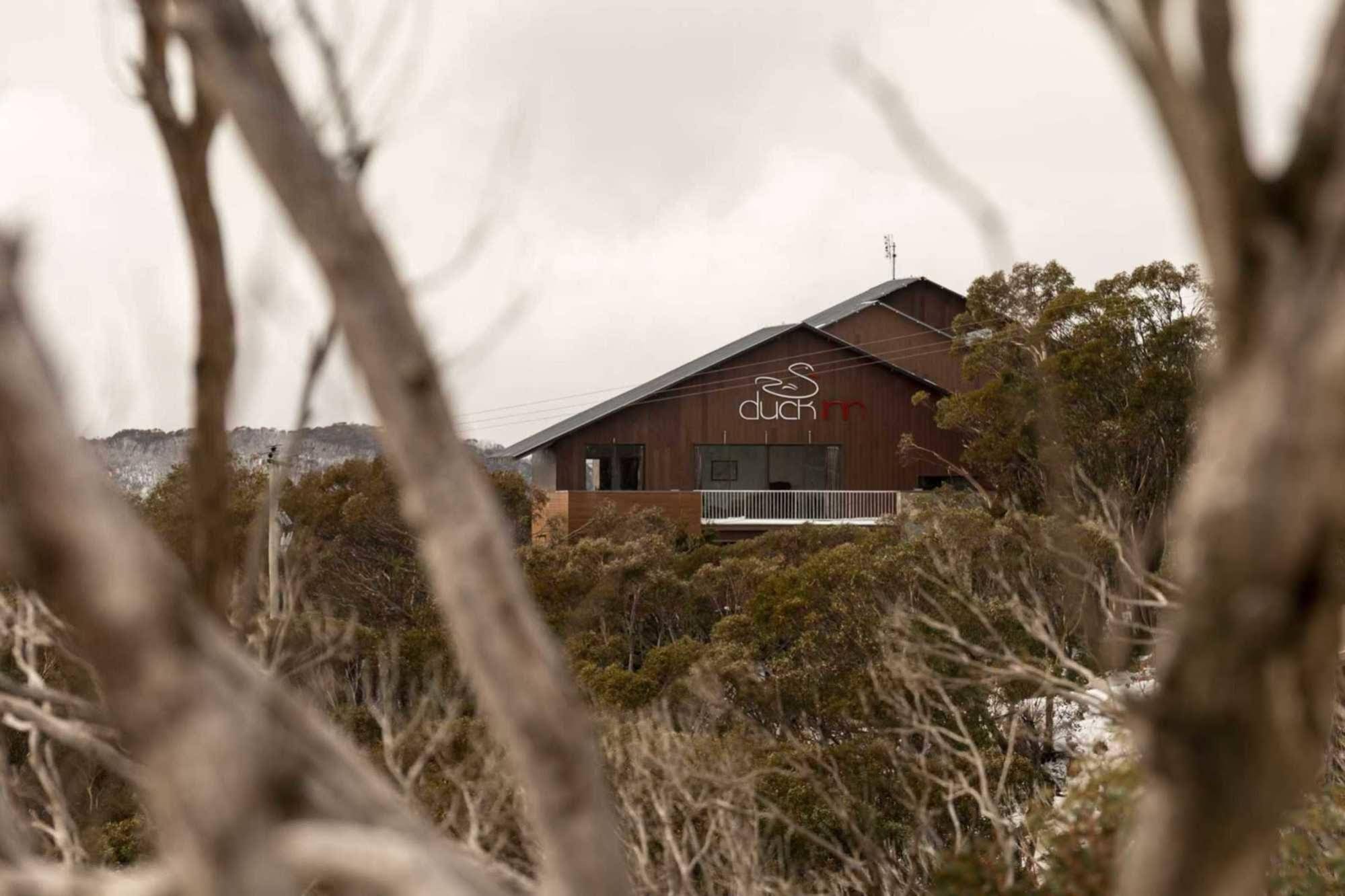 Duck Inn
