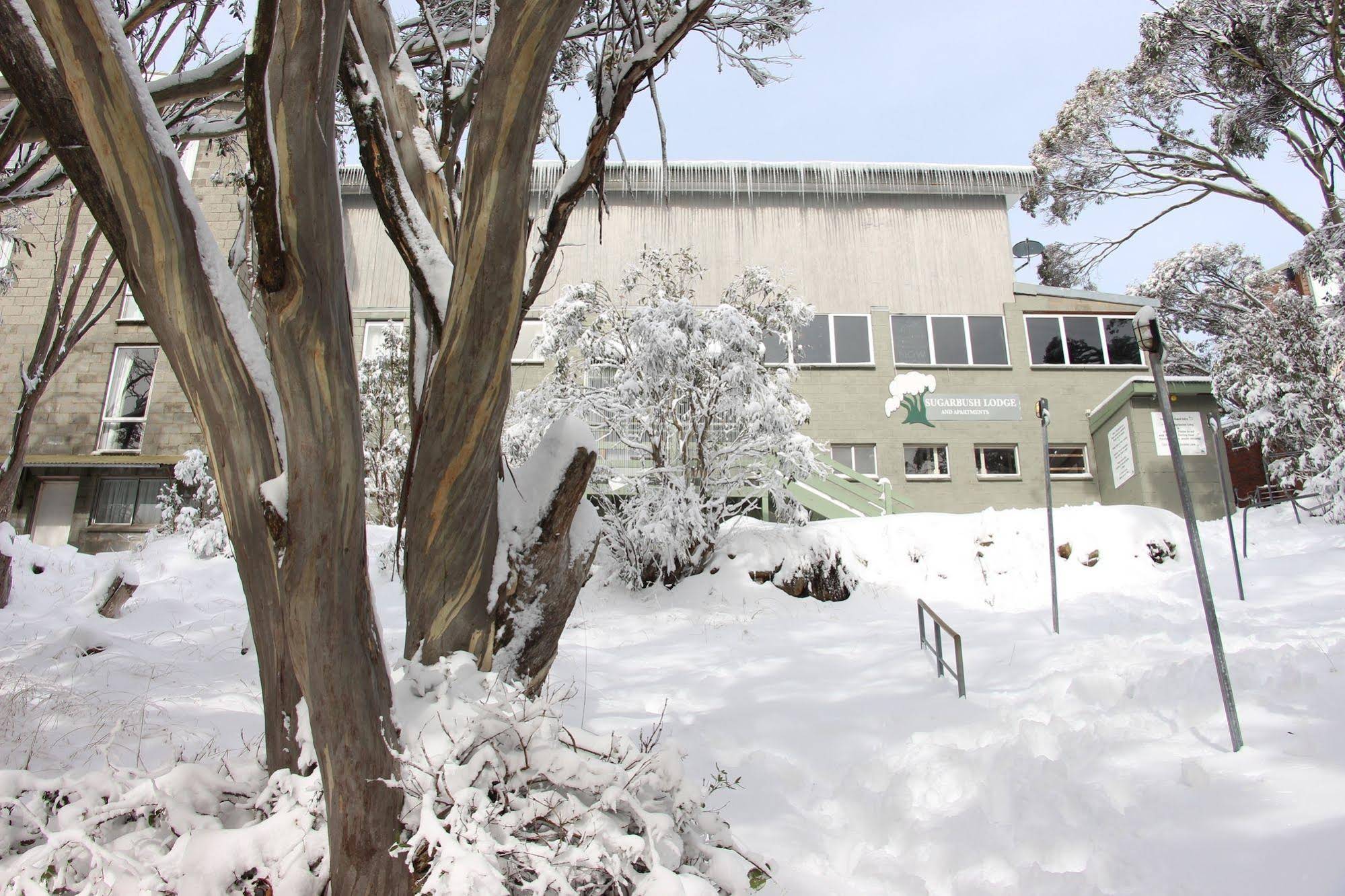 Sugarbush Lodge & Apartments