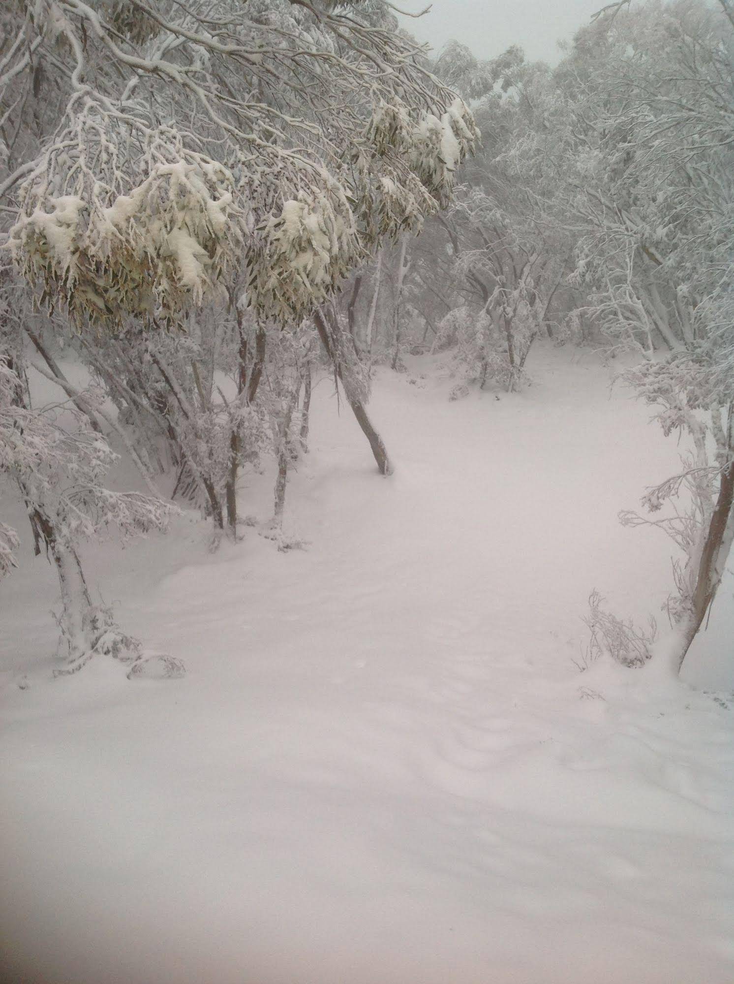Terama Ski Lodge
