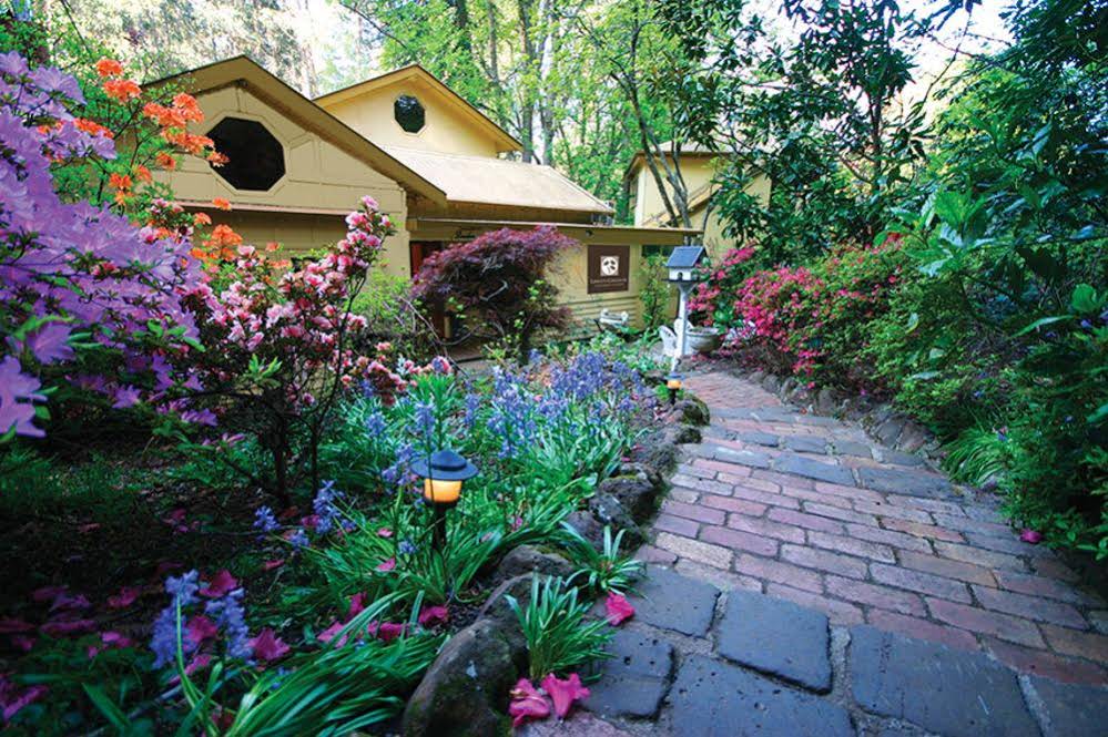 Linden Gardens Rainforest Retreat