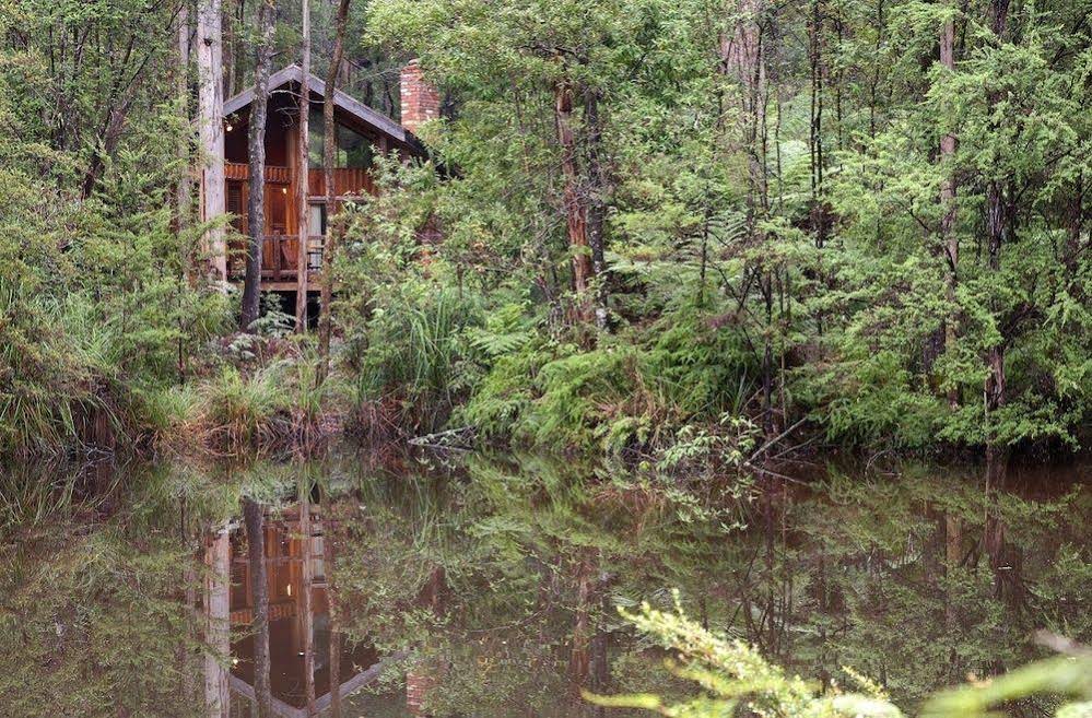 Woodlands Rainforest Retreat