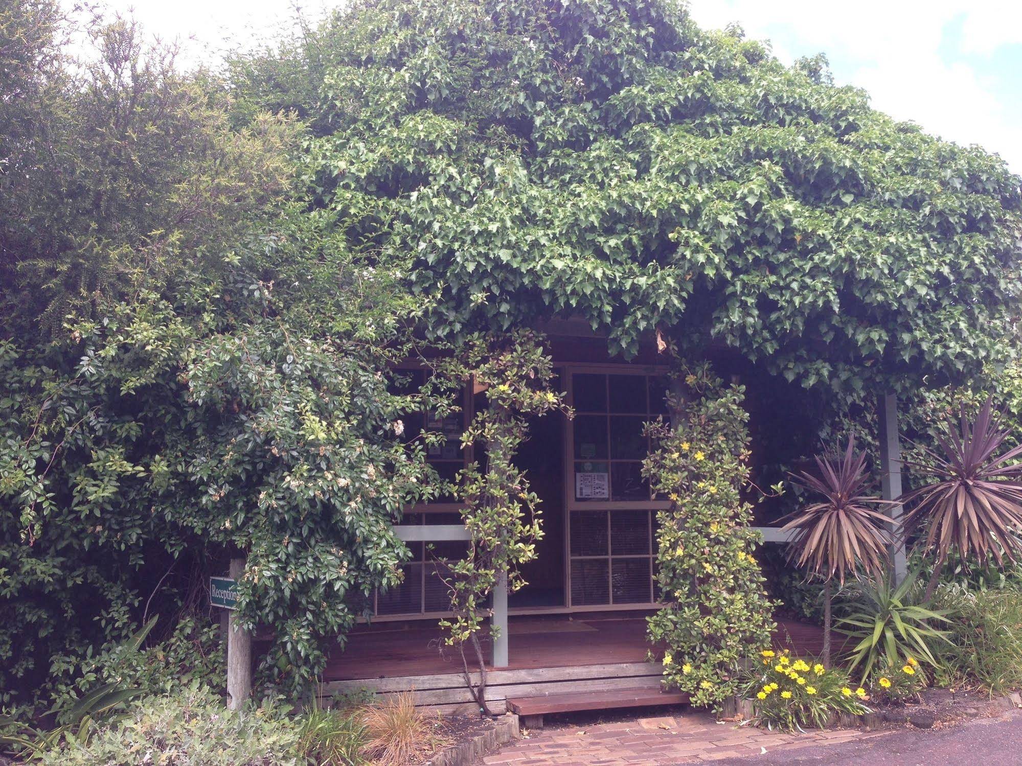 Ti-tree Village