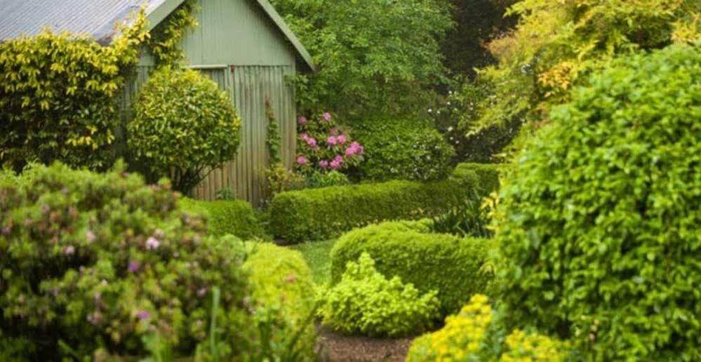 Beechmont Garden Retreat