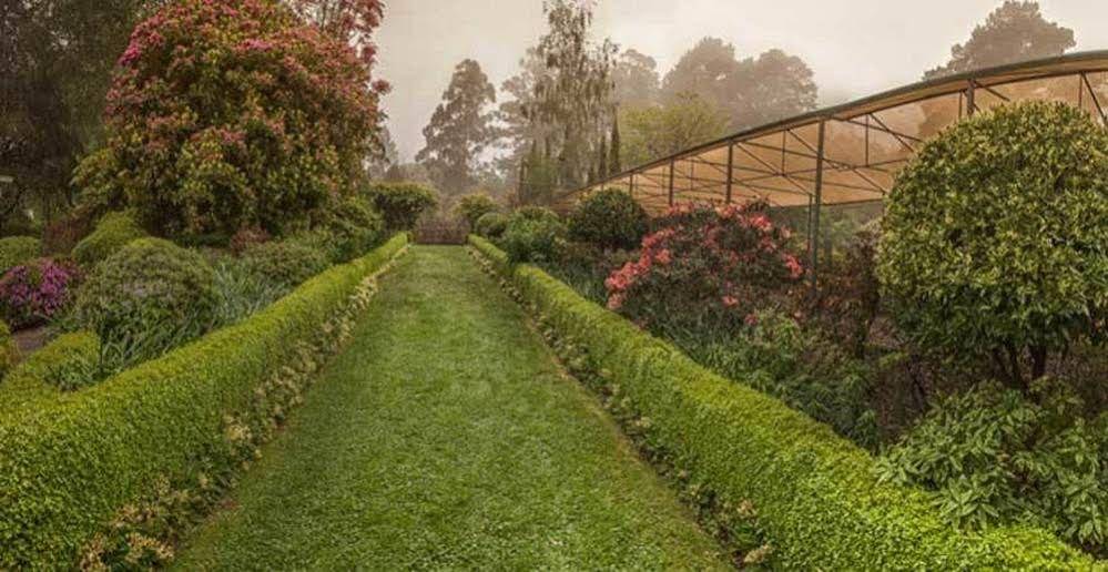 Beechmont Garden Retreat