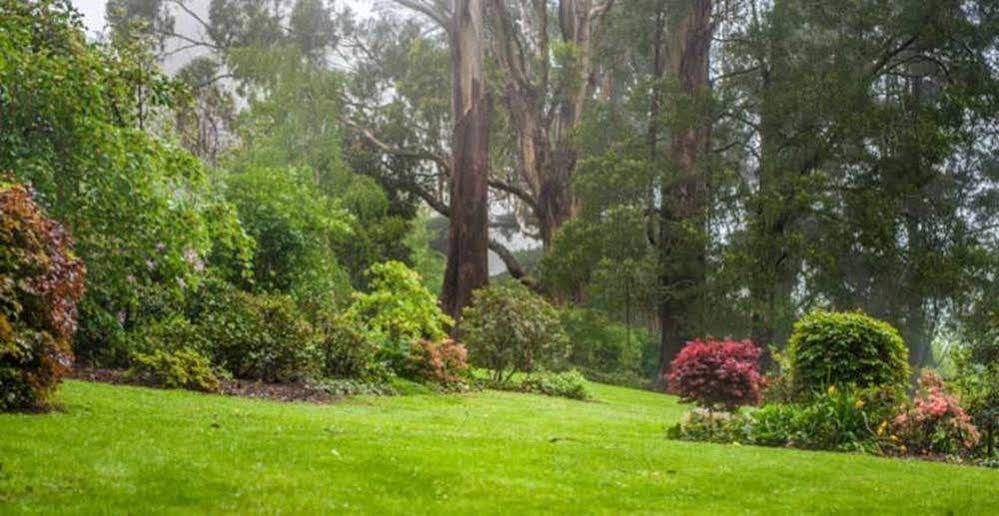 Beechmont Garden Retreat