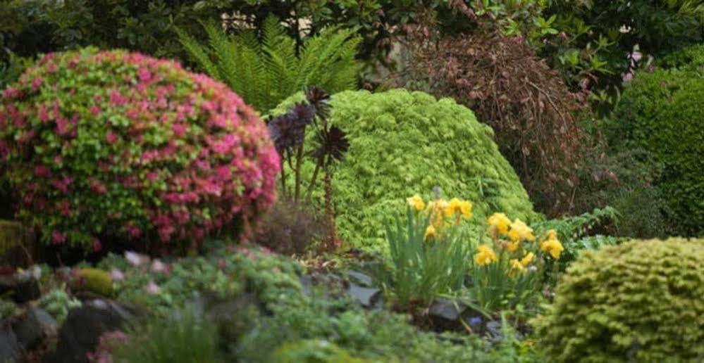 Beechmont Garden Retreat