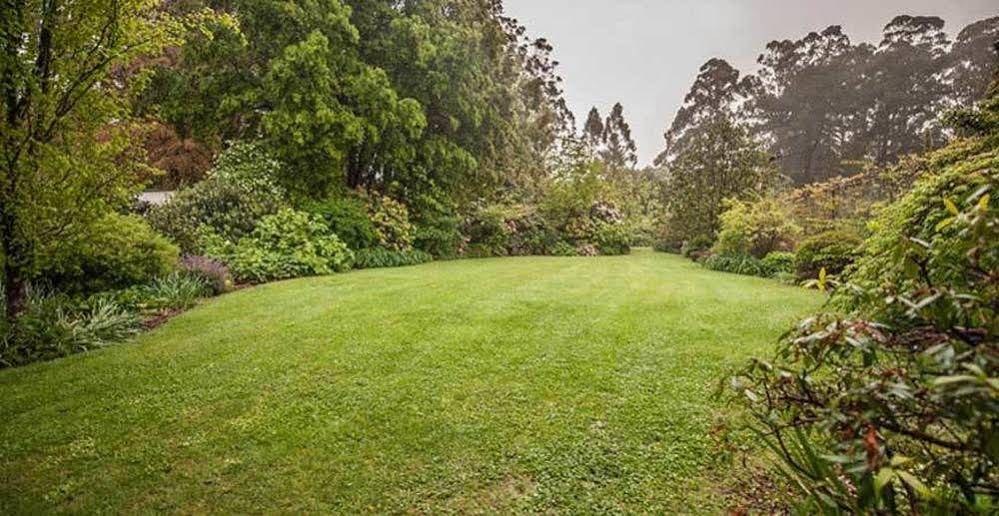Beechmont Garden Retreat