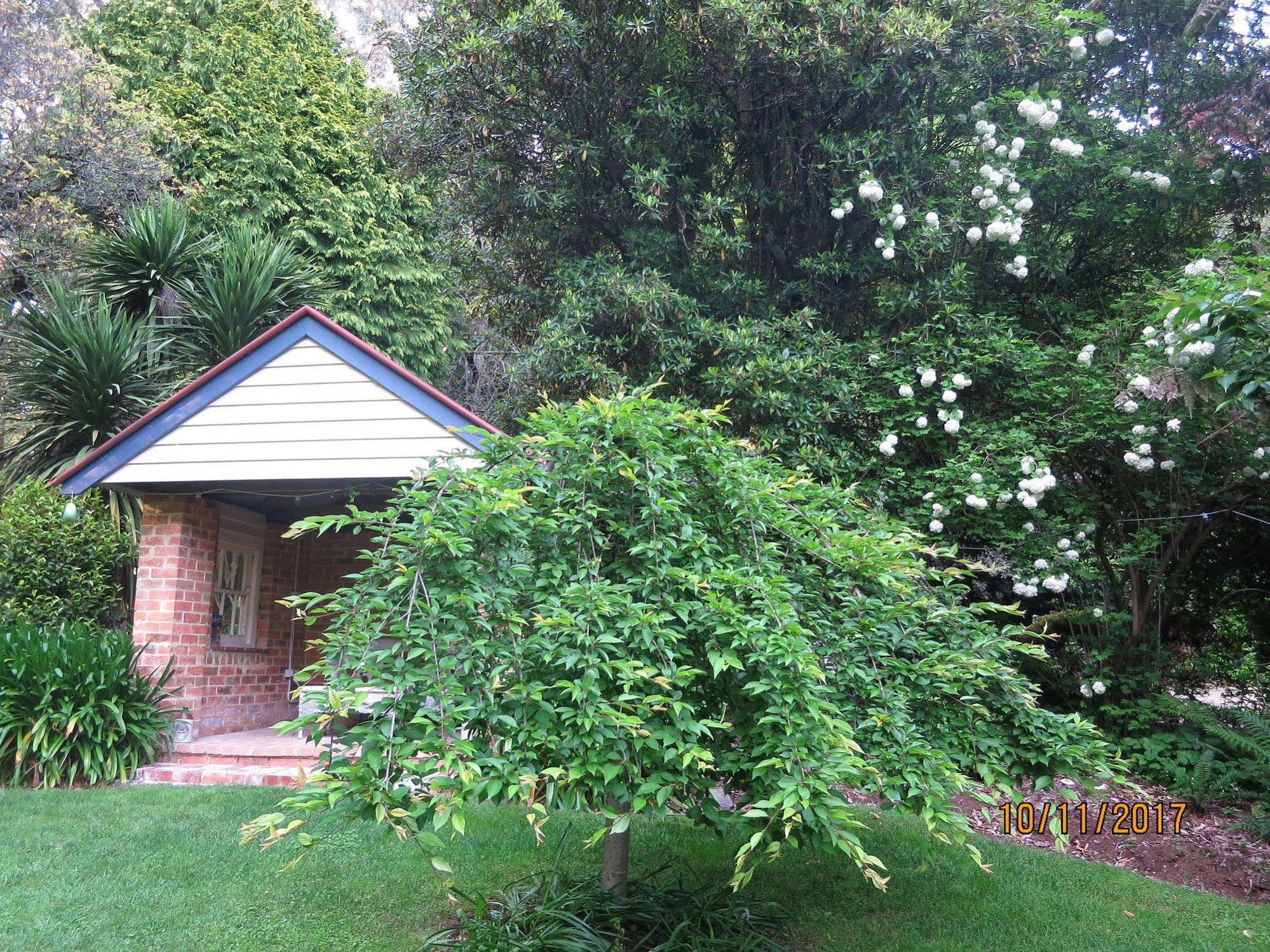Cambridge Cottages Bed and Breakfast