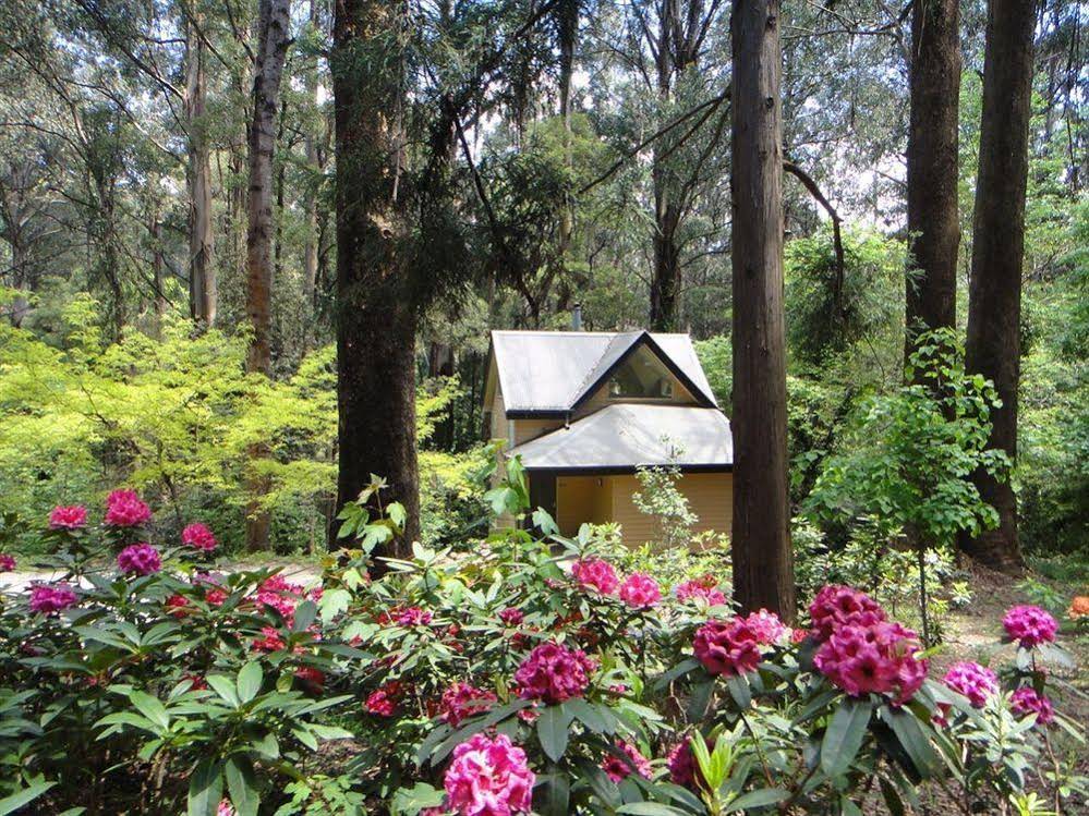 Lochiel Luxury Accommodation