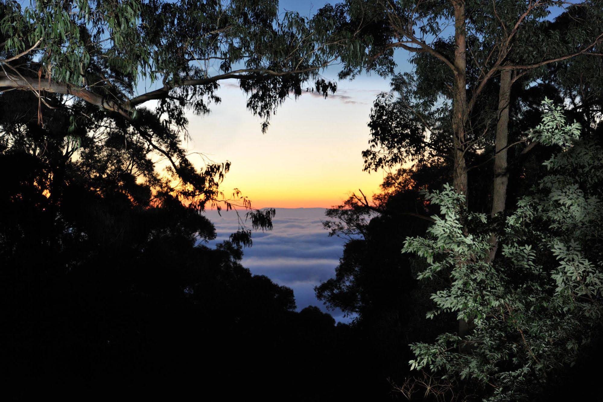 Misty Woods Retreat Olinda