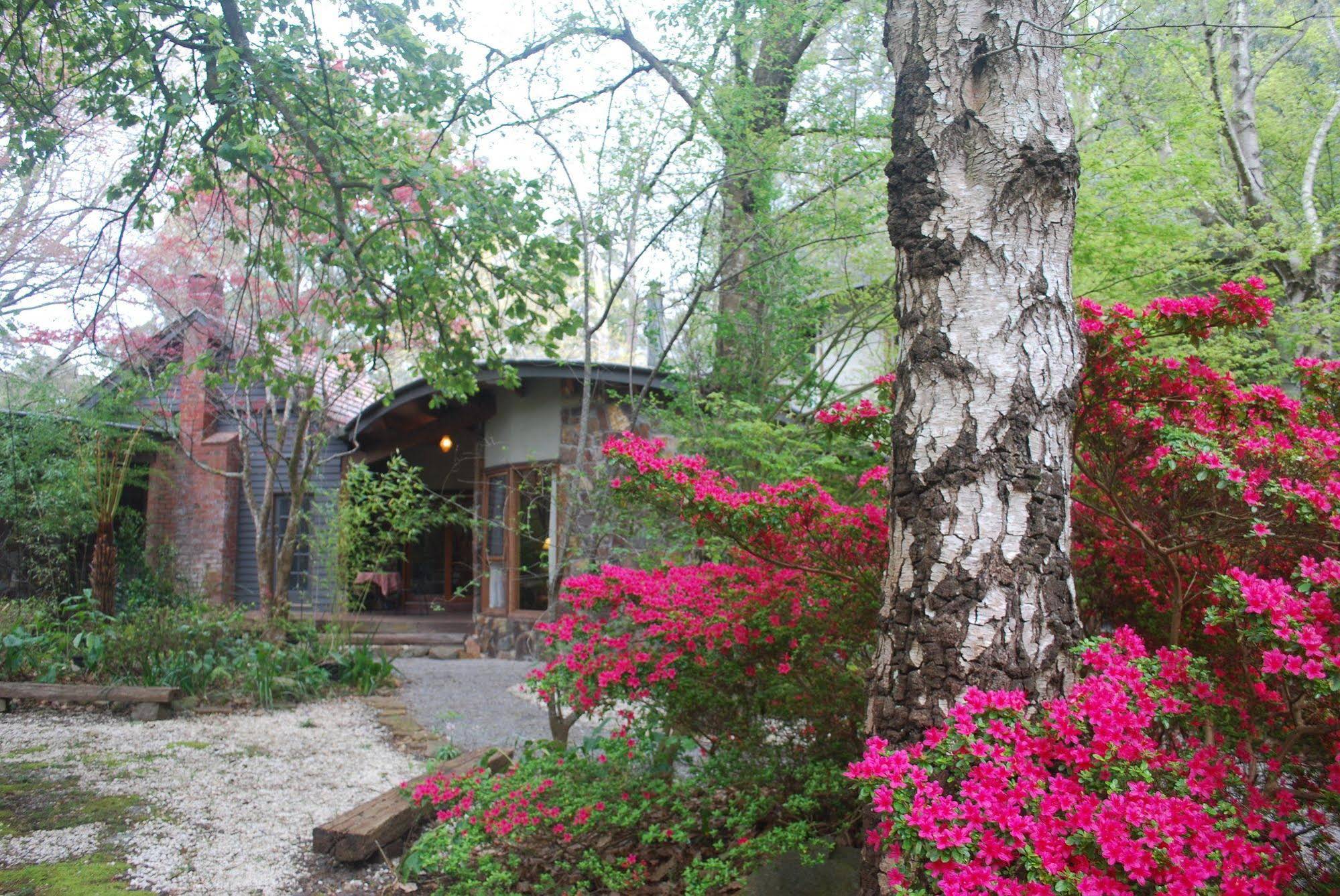 Rocky Creek Art Garden B&B