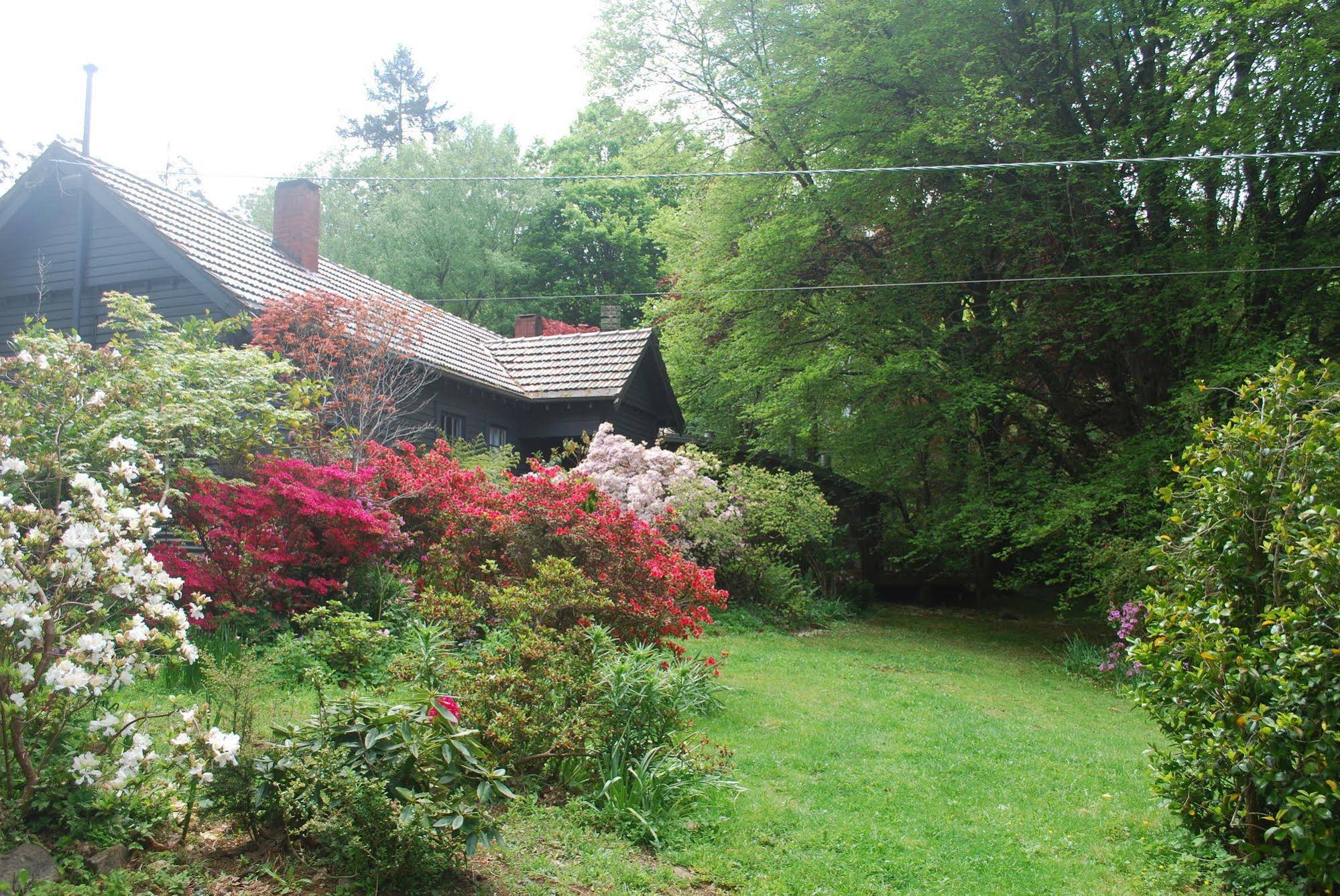 Rocky Creek Art Garden B&B
