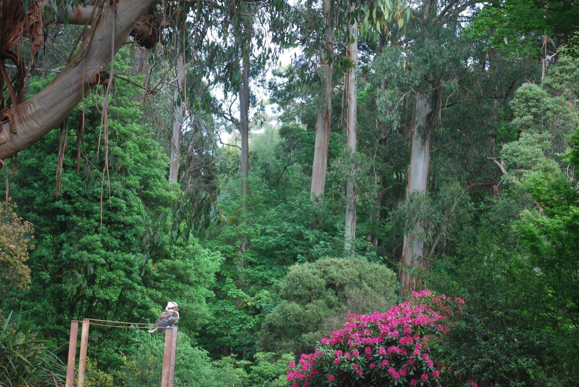 Rocky Creek Art Garden B&B