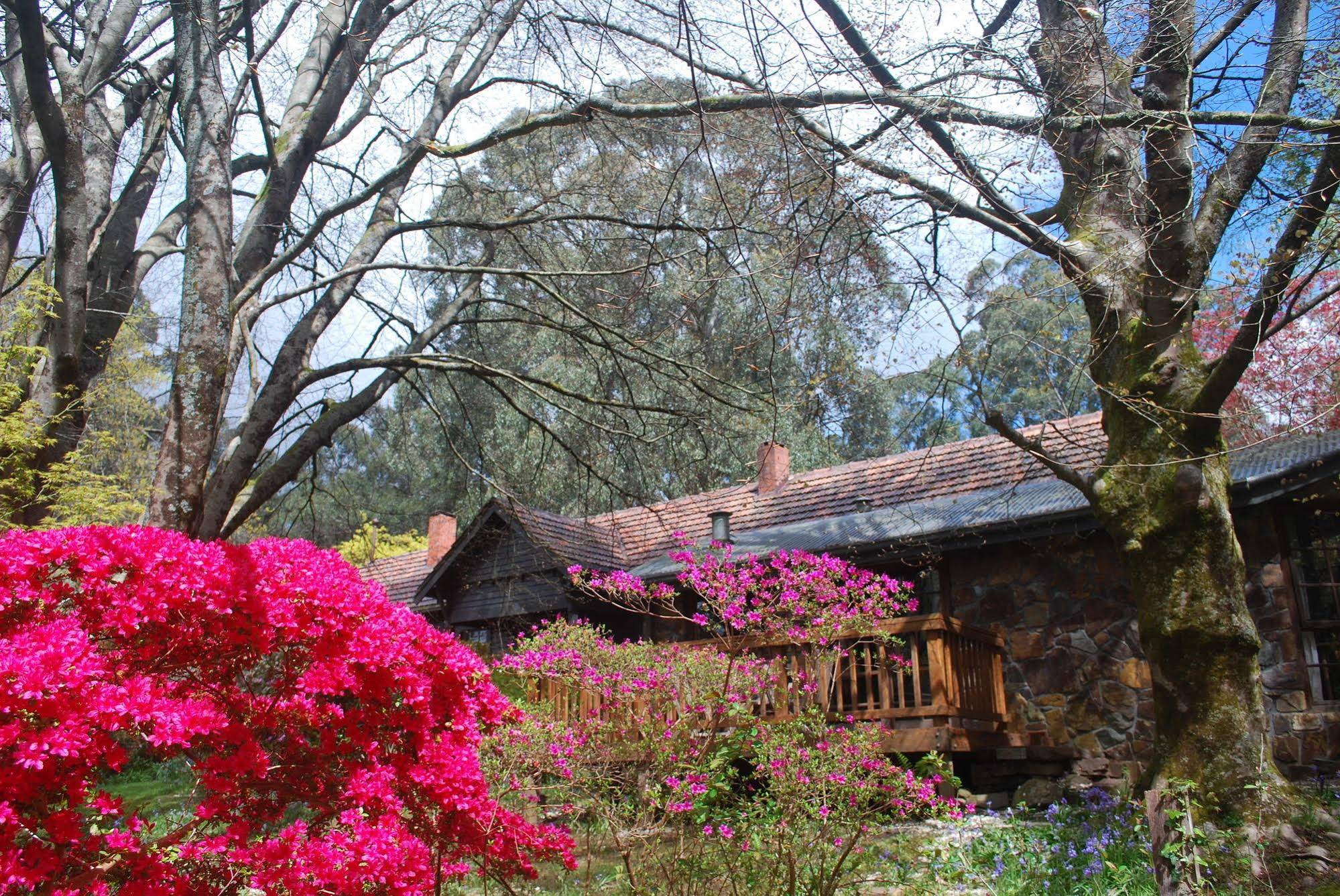 Rocky Creek Art Garden B&B