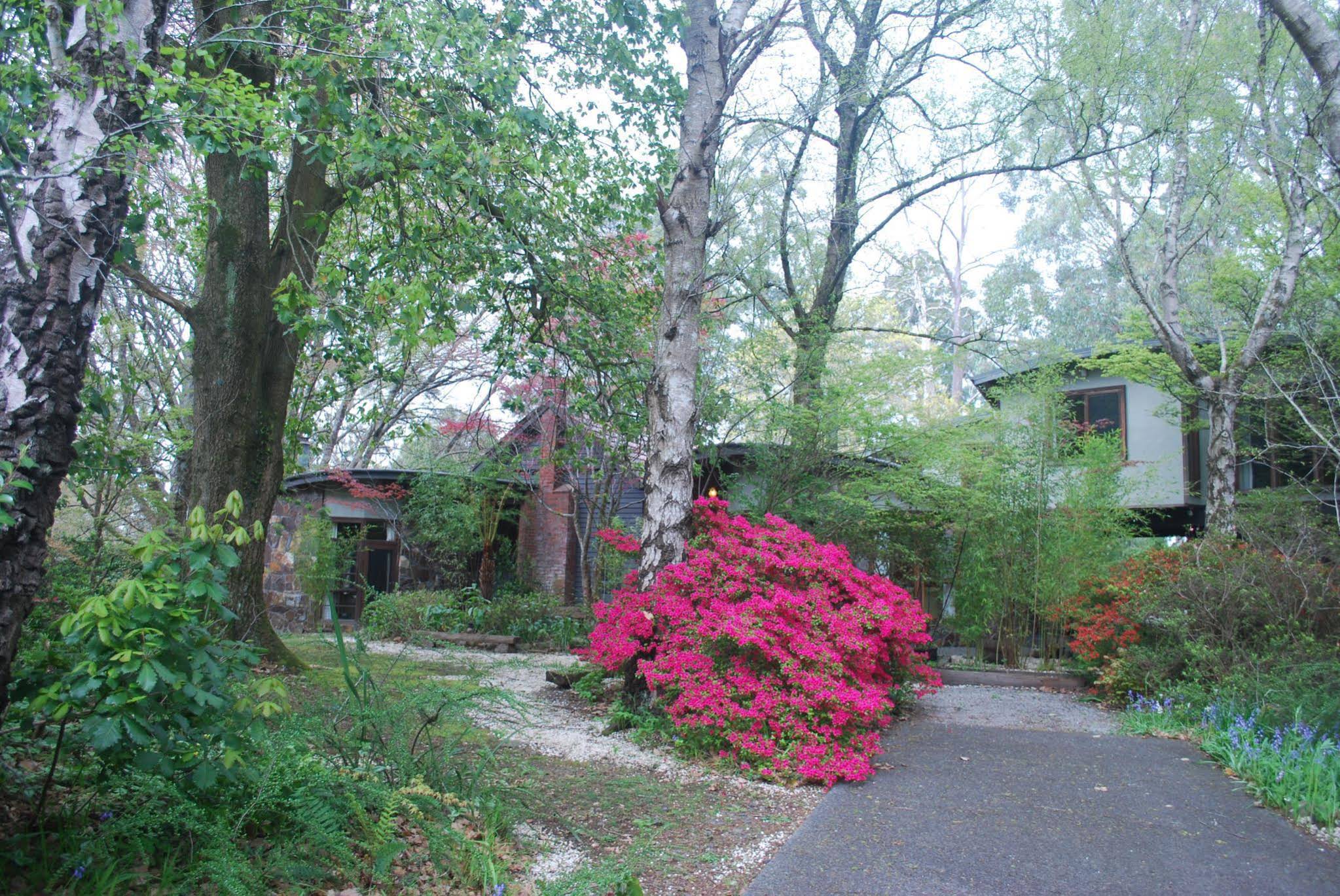 Rocky Creek Art Garden B&B