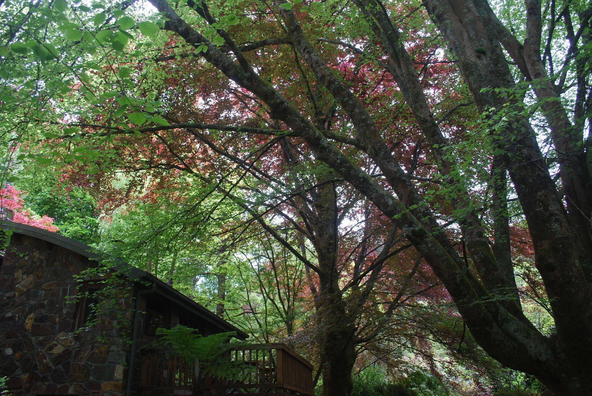 Rocky Creek Art Garden B&B