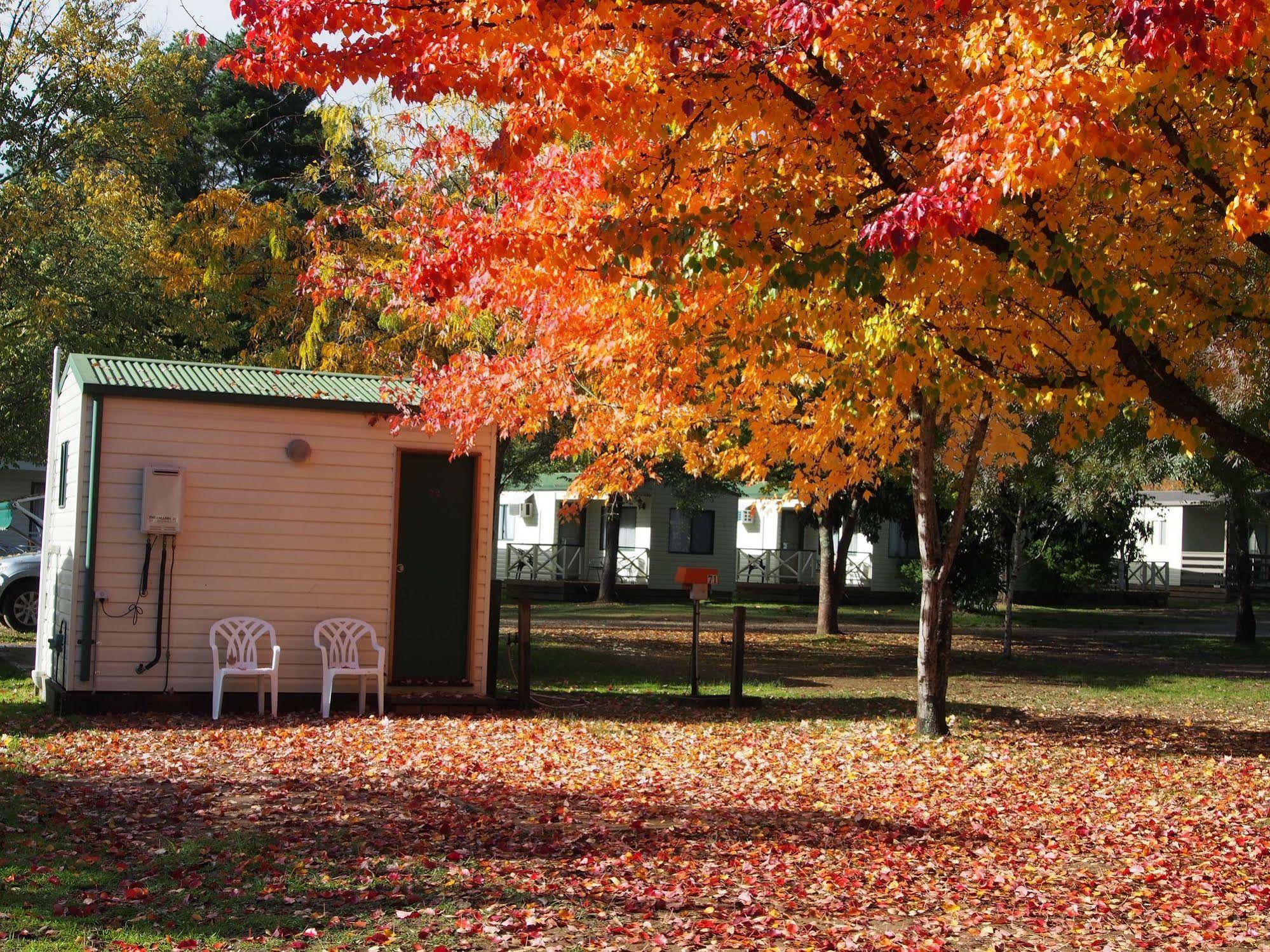 Porepunkah Pines Holiday Park