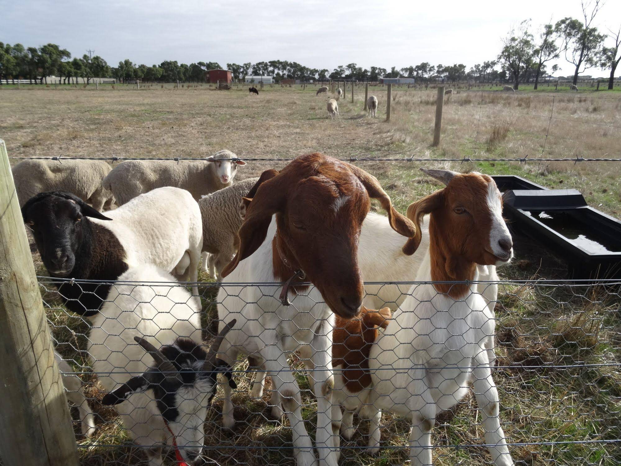 The Oxley Estate Bed & Breakfast