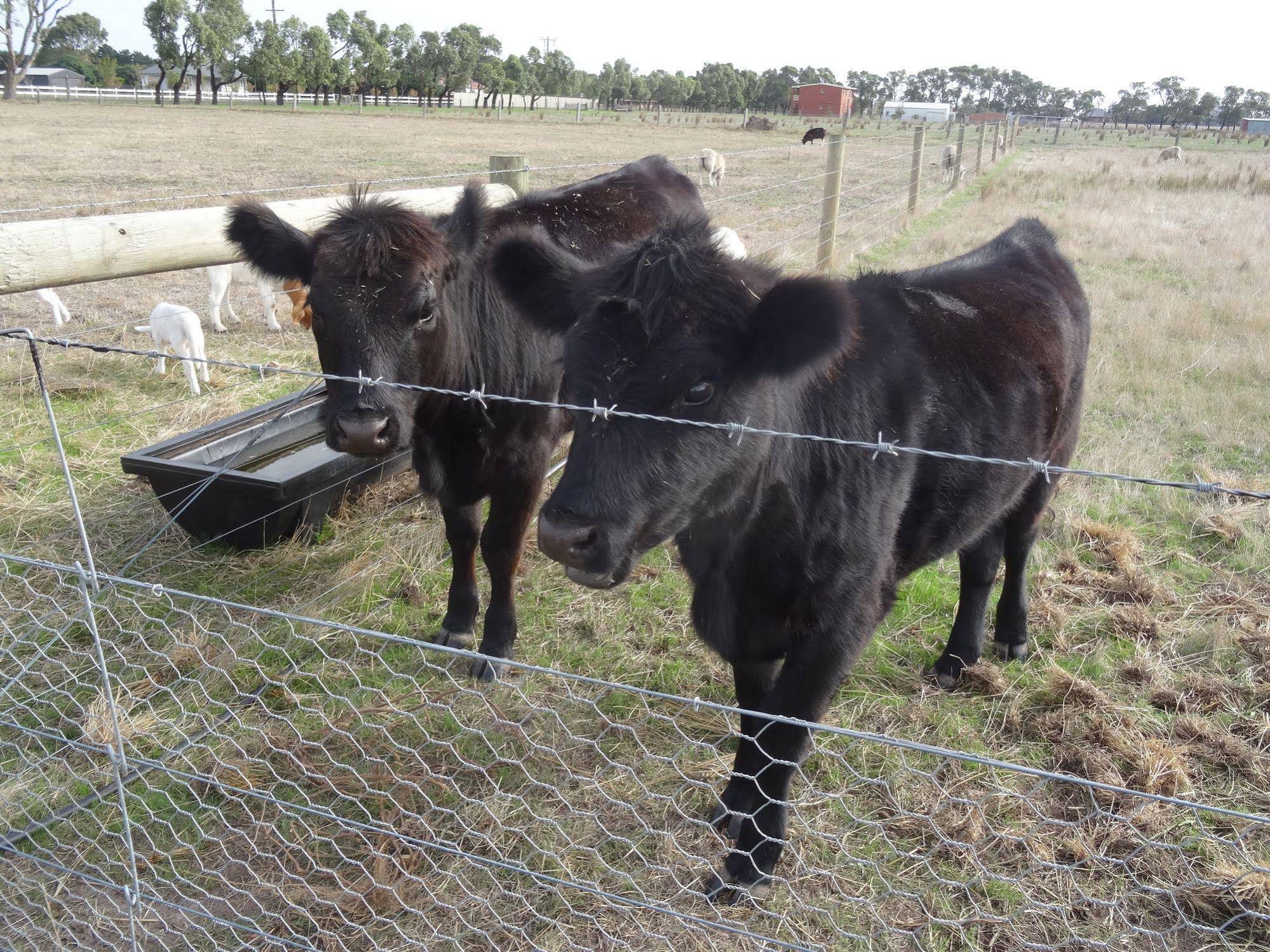 The Oxley Estate Bed & Breakfast