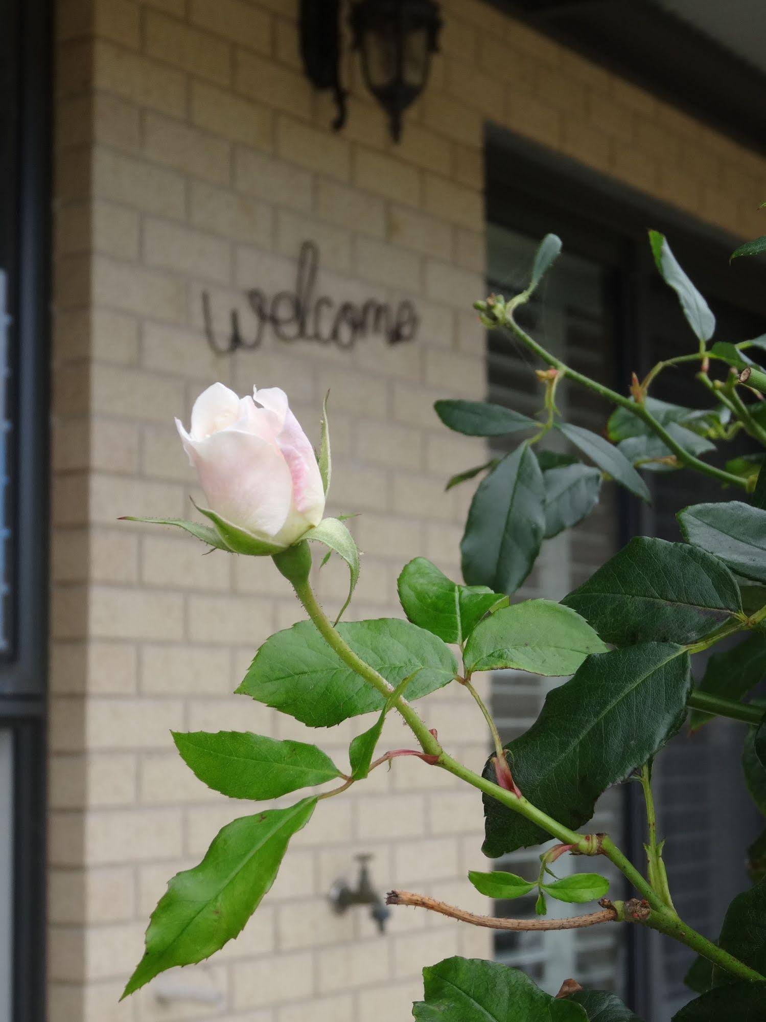 The Oxley Estate Bed & Breakfast