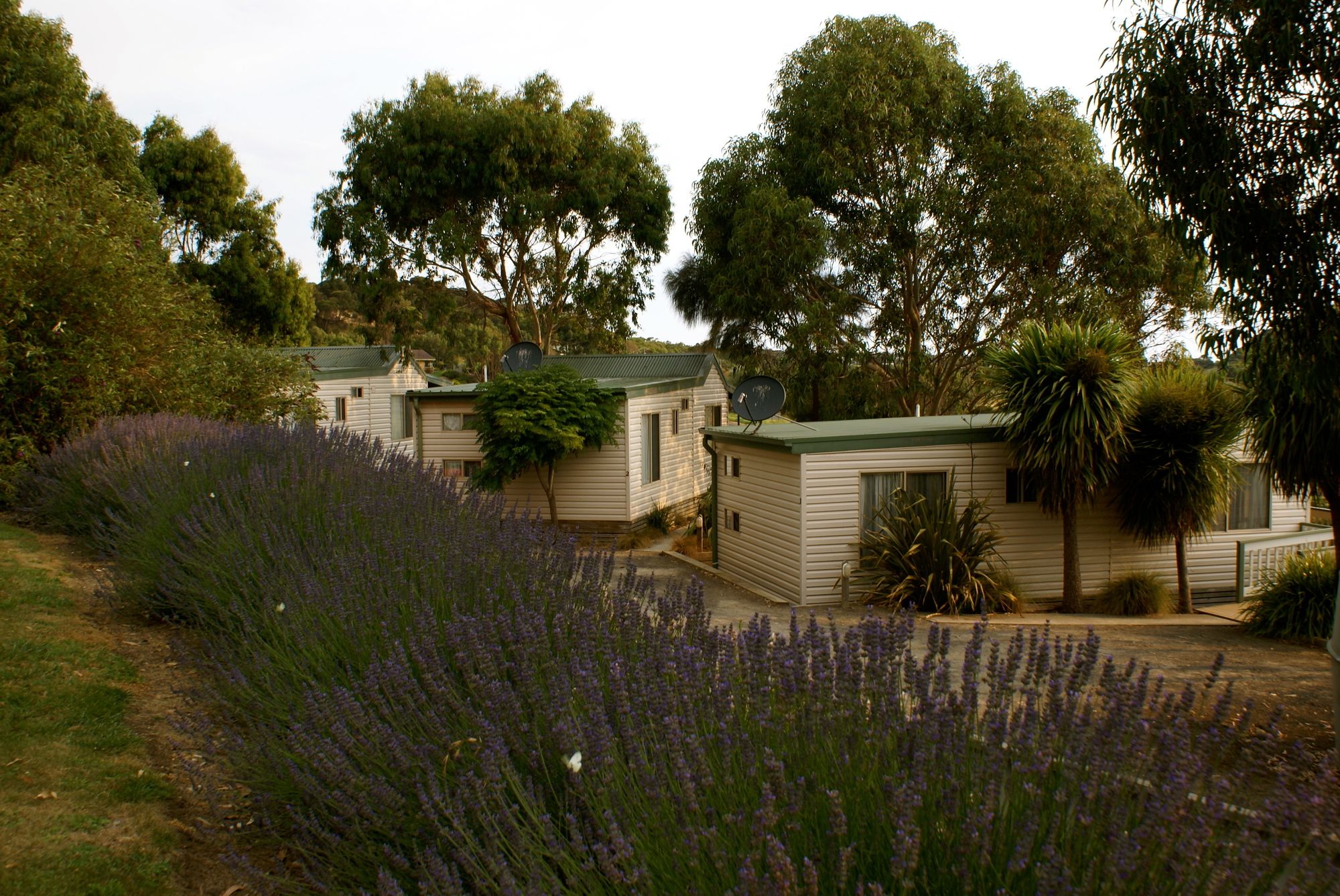 Daysy Hill Country Cottages