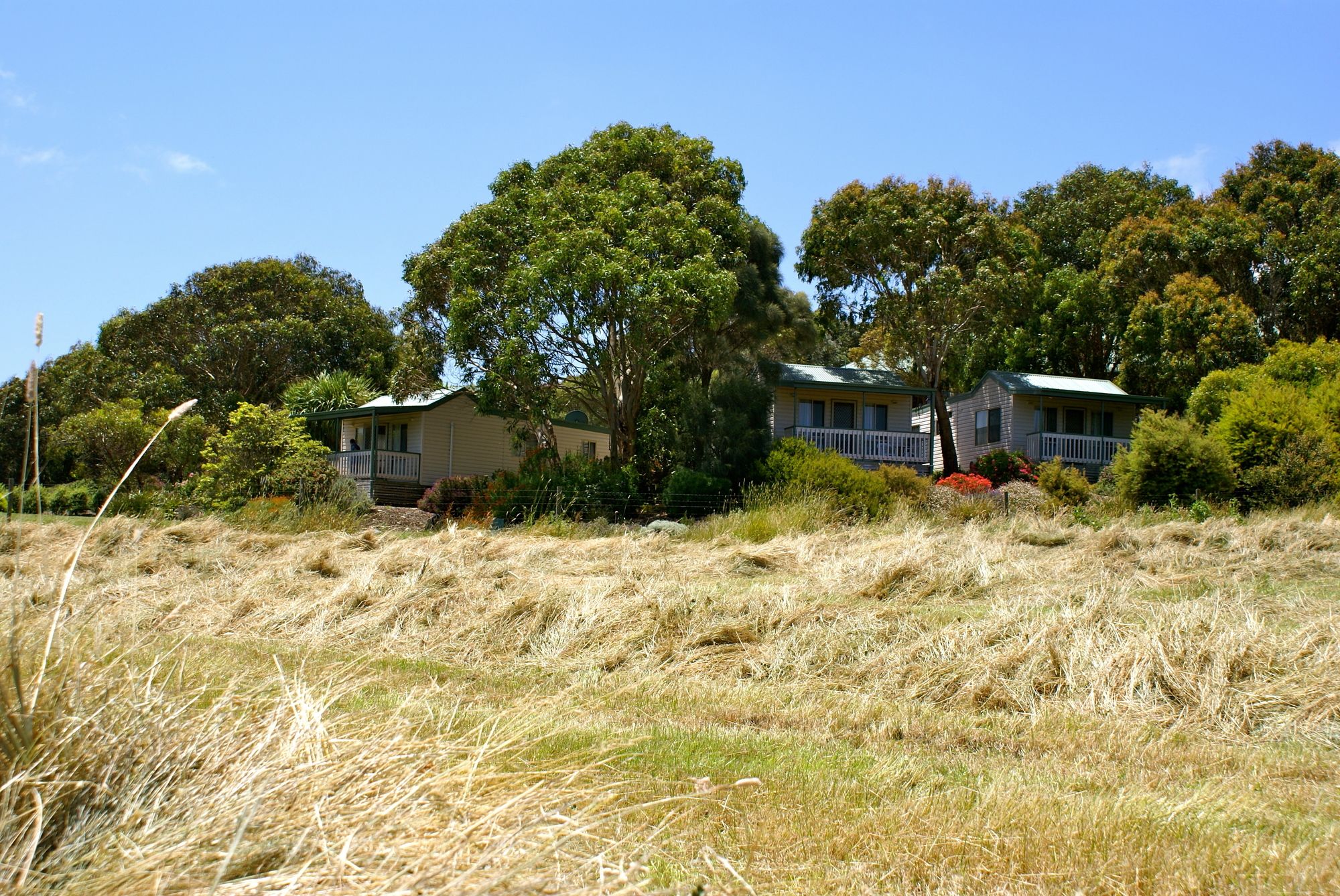 Daysy Hill Country Cottages