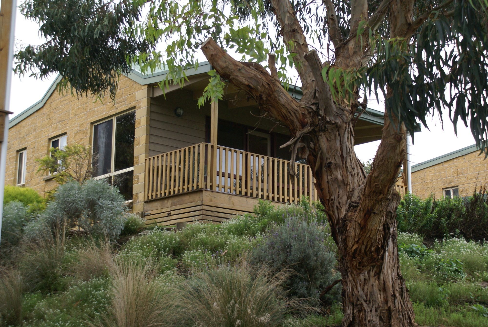 Daysy Hill Country Cottages