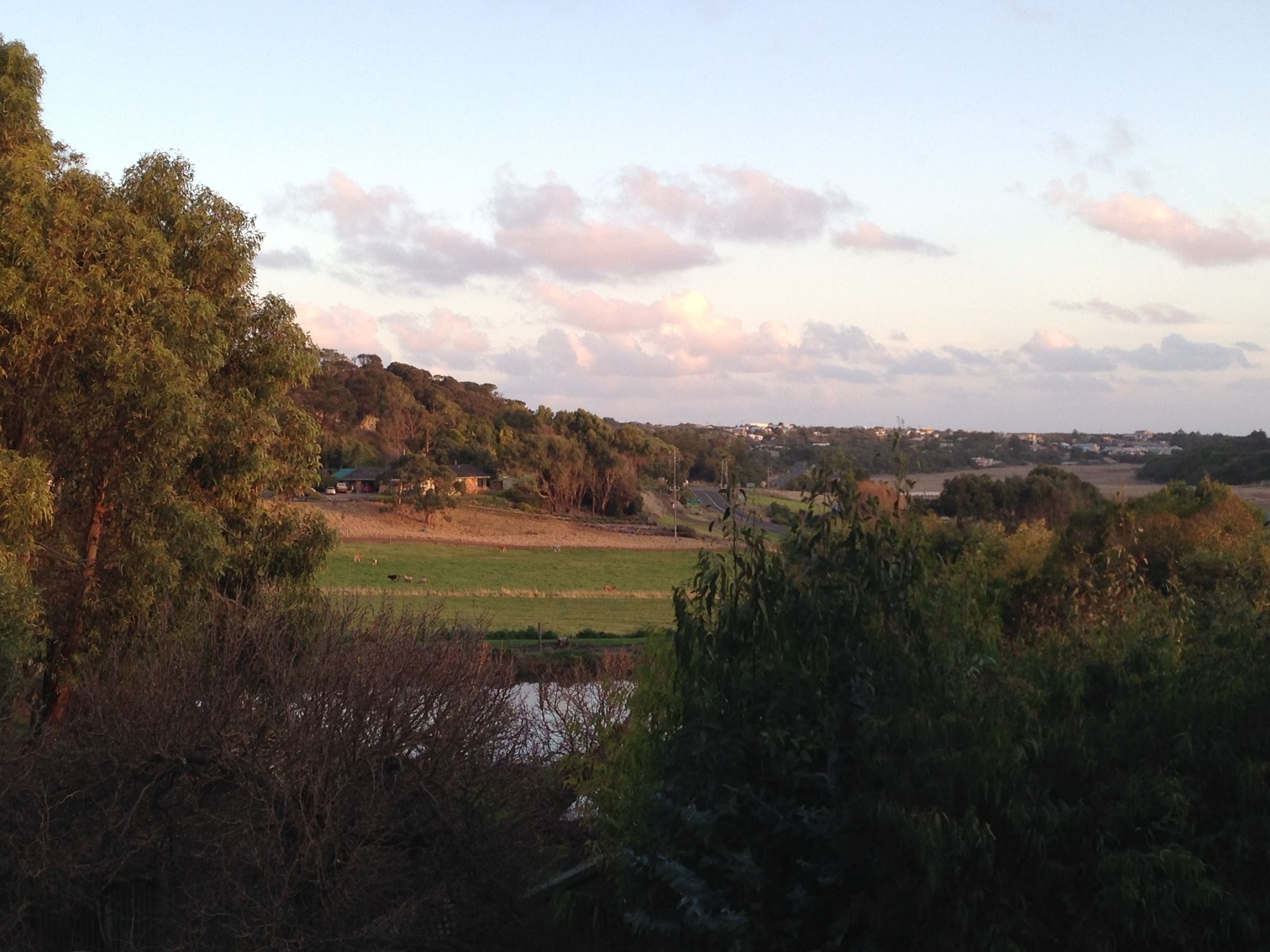 Daysy Hill Country Cottages