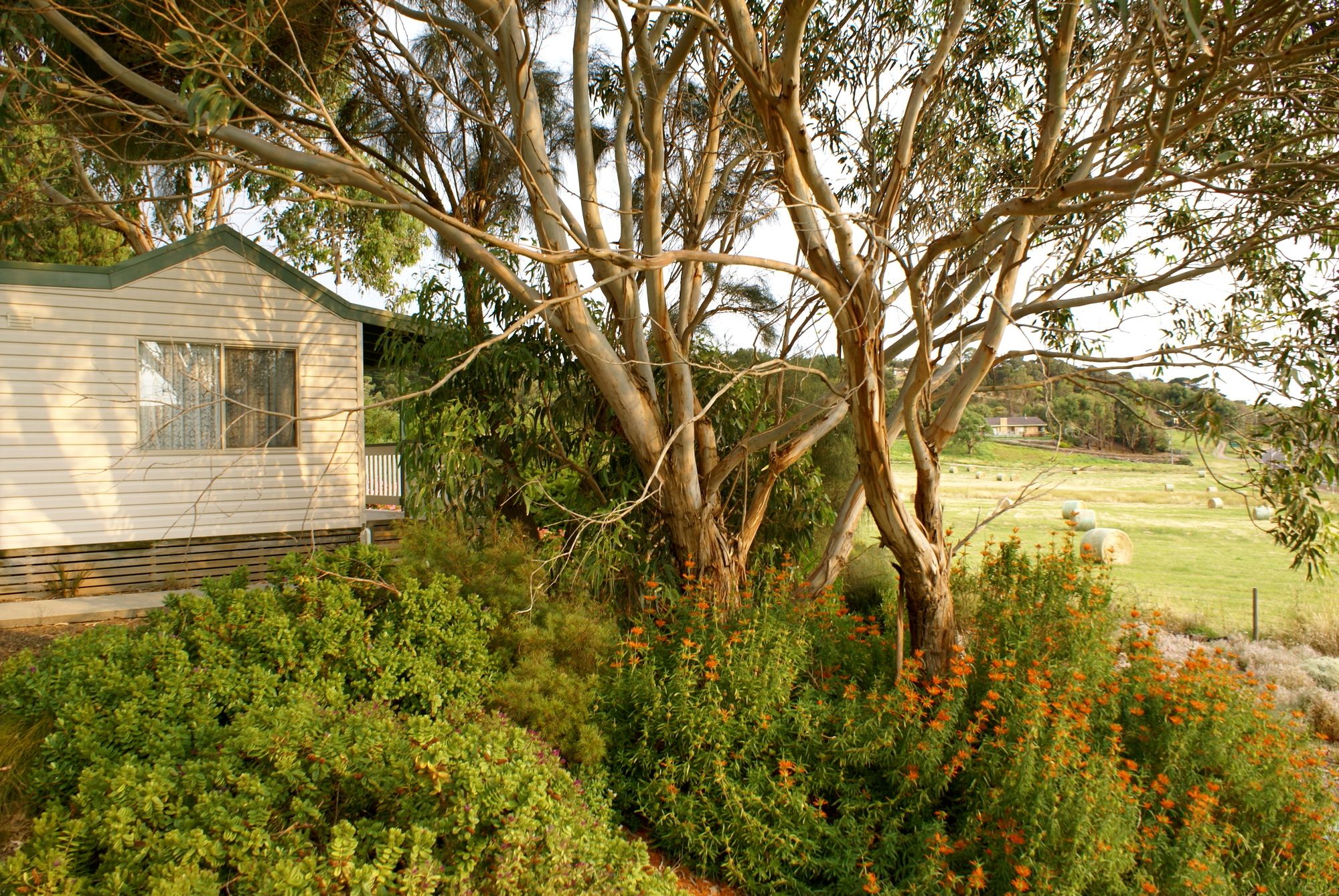 Daysy Hill Country Cottages