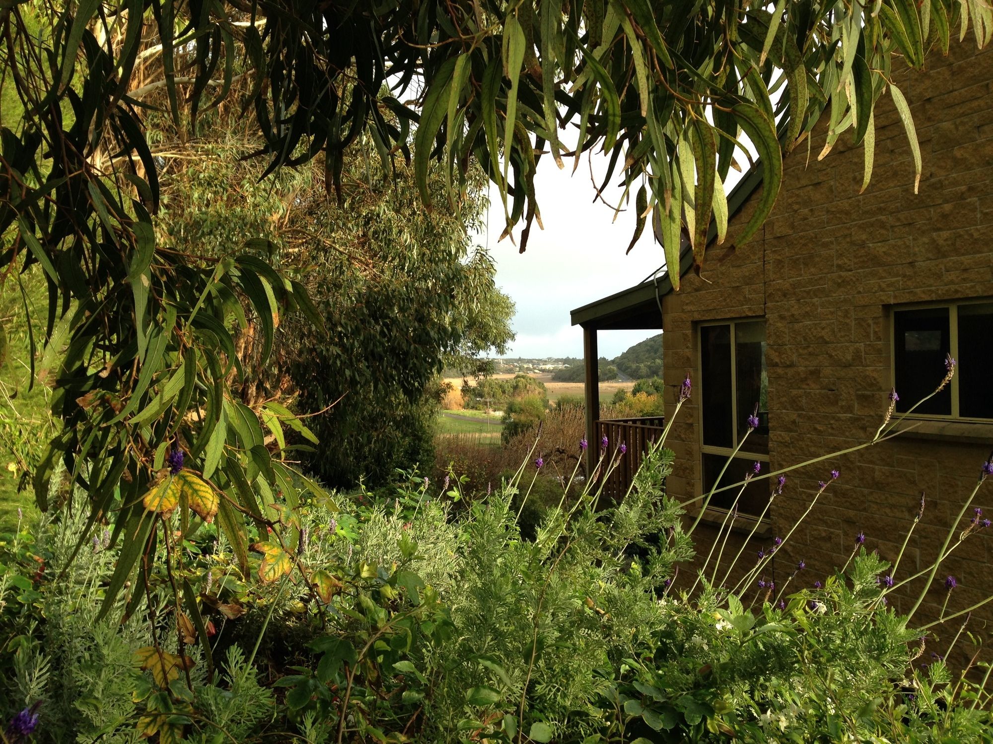 Daysy Hill Country Cottages
