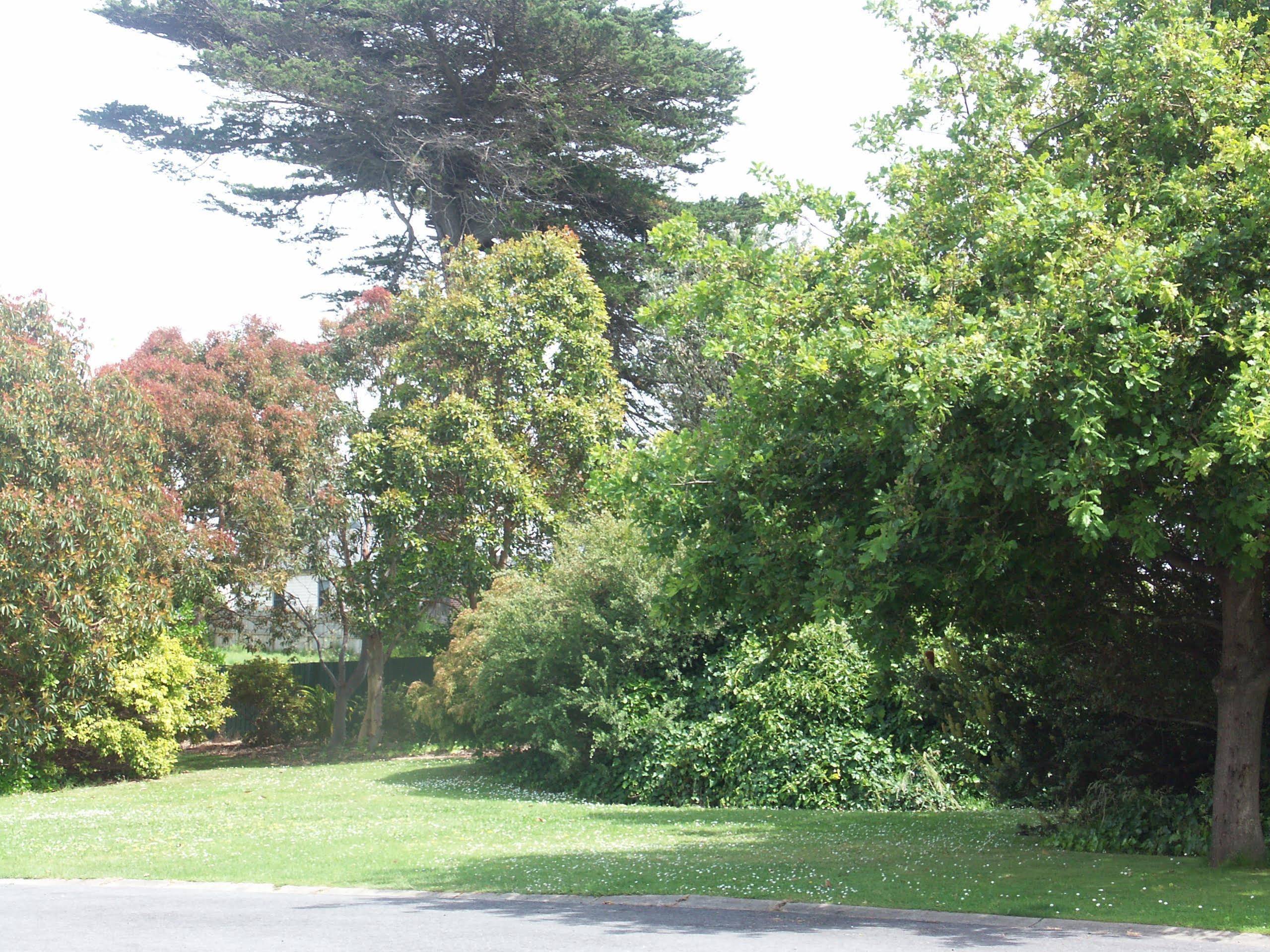 Melaleuca Motel