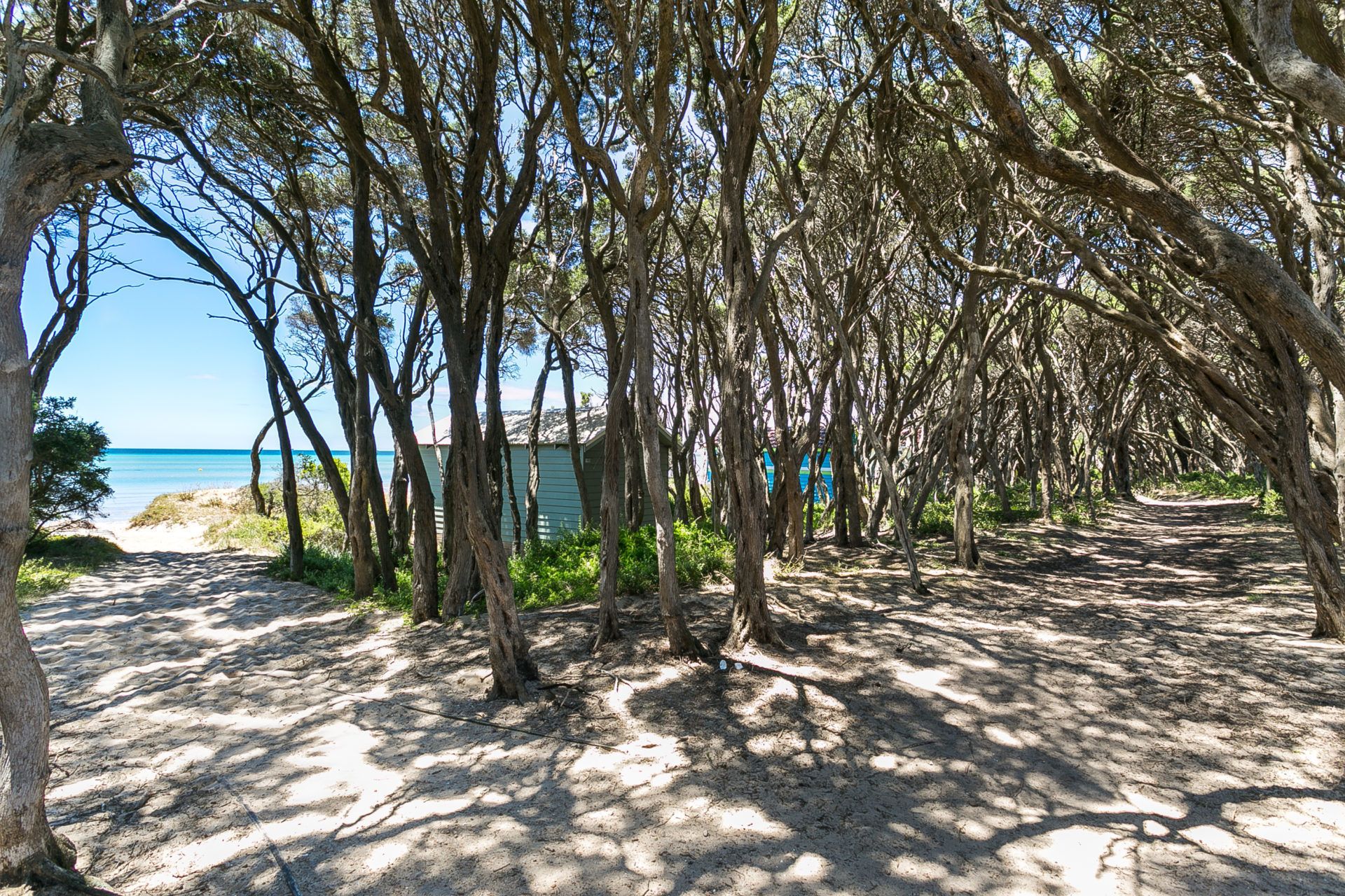 Beach Bungalow